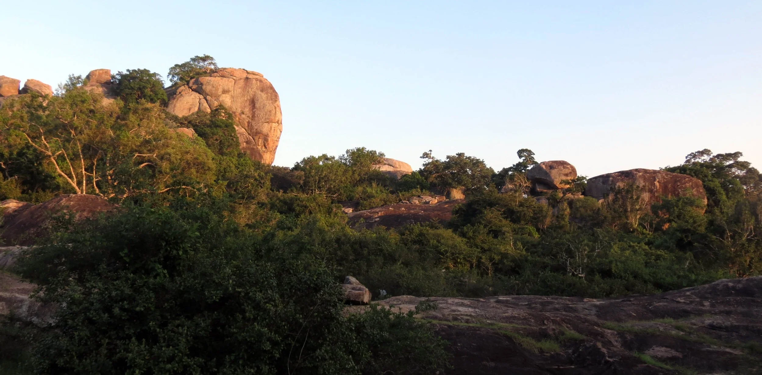 YALA NATIONAL PARK SRI LANKA - KIRINDA VILLAGE AREA (17).JPG