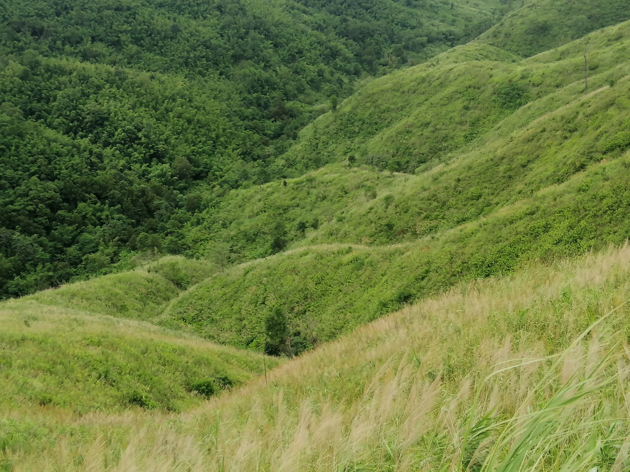 2021 Chong Yen and Surrounding Countryside (46).jpg