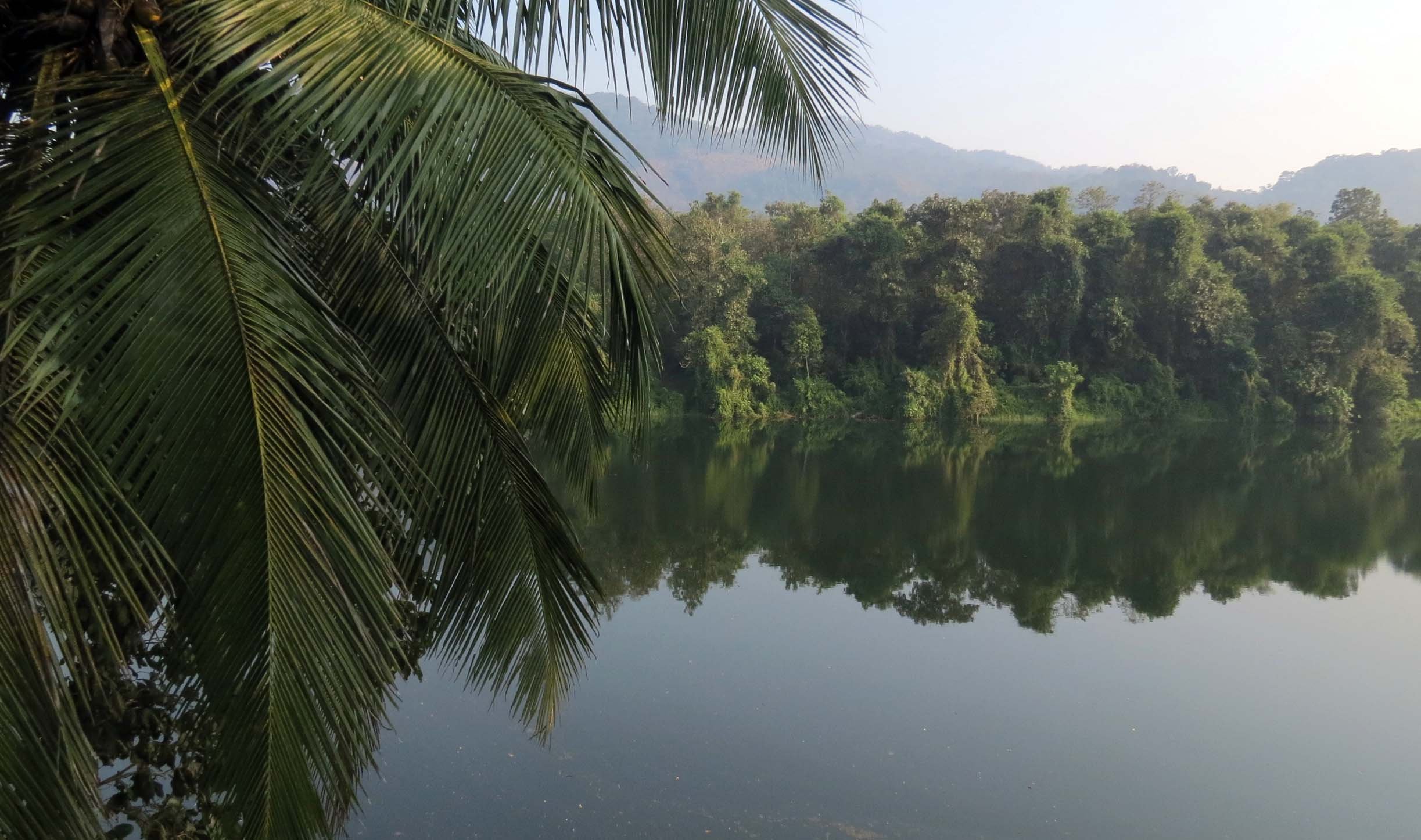 THATTEKAD WILDLIFE SANCTUARY KERALA INDIA (8).JPG