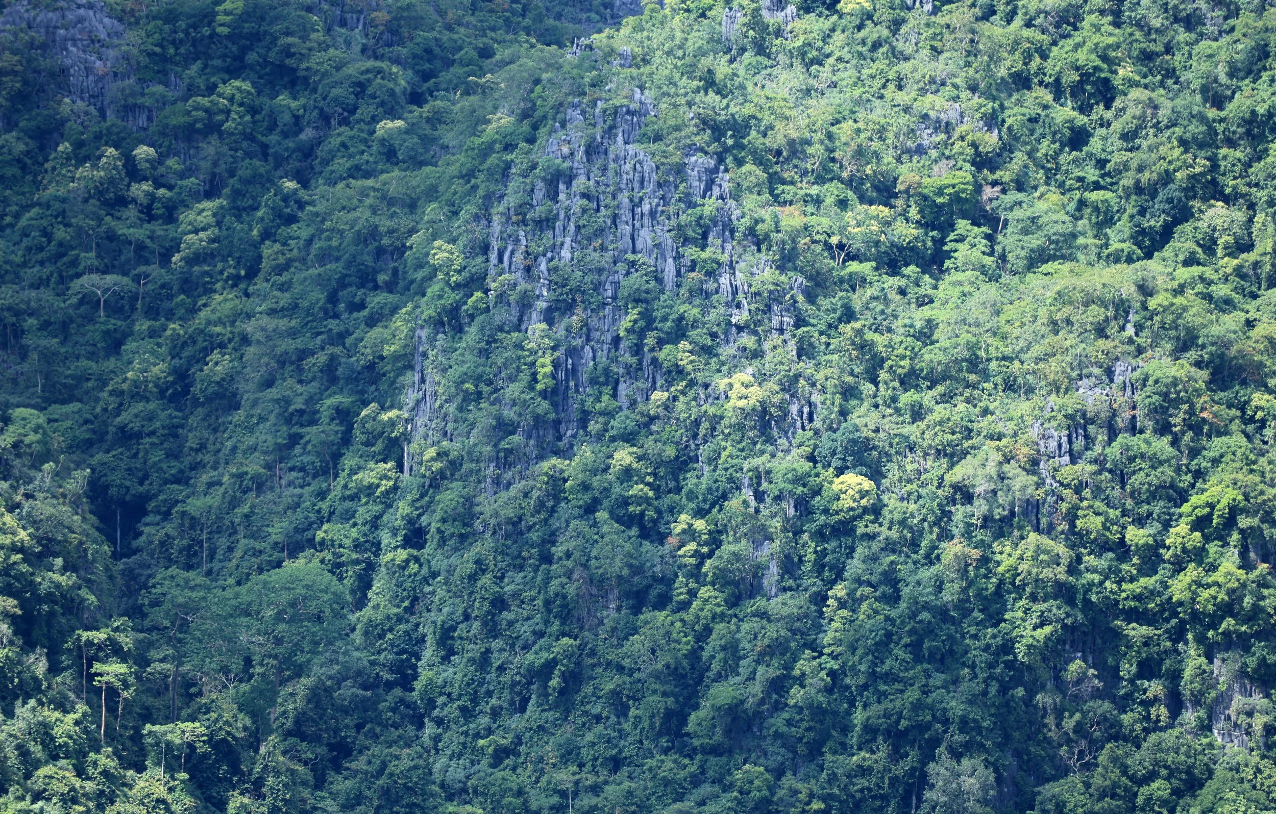Phu Langka Viewpoint - Phayao Province Thailand (4).jpg