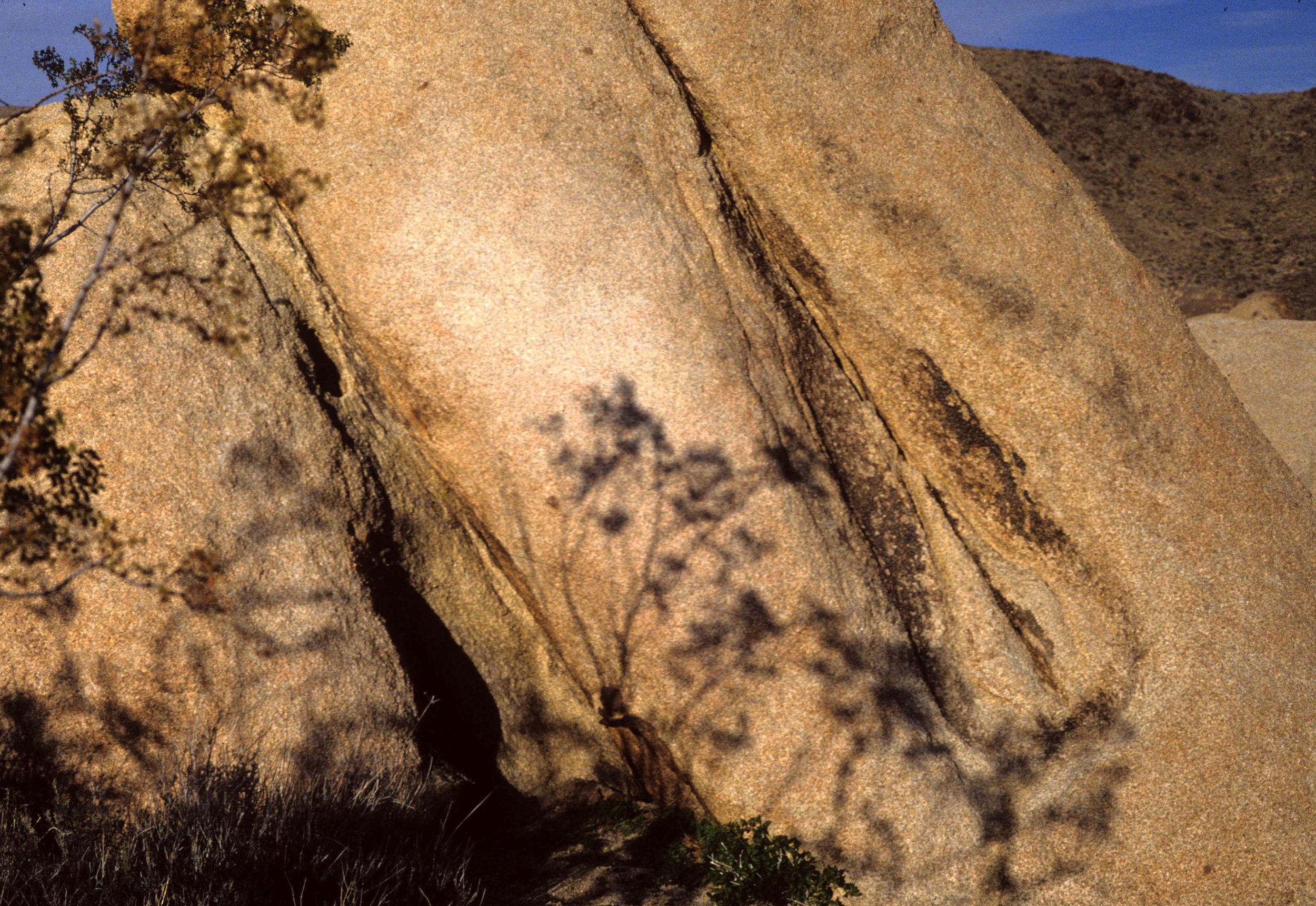 CALIFORNIA - JOSHUA TREE - PUSSY ROCK.jpg