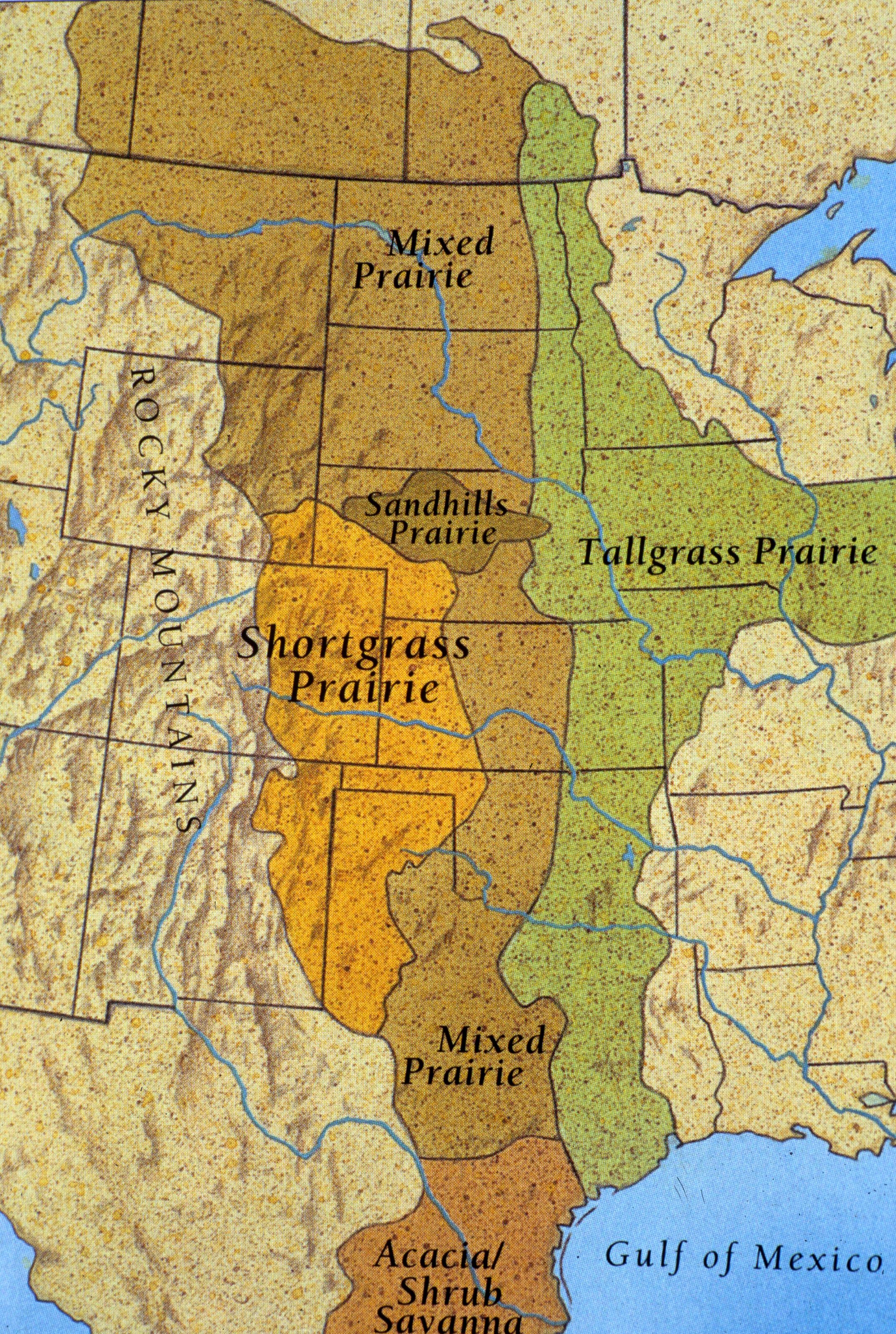 GREAT PLAINS - GRASSLAND MAP.jpg