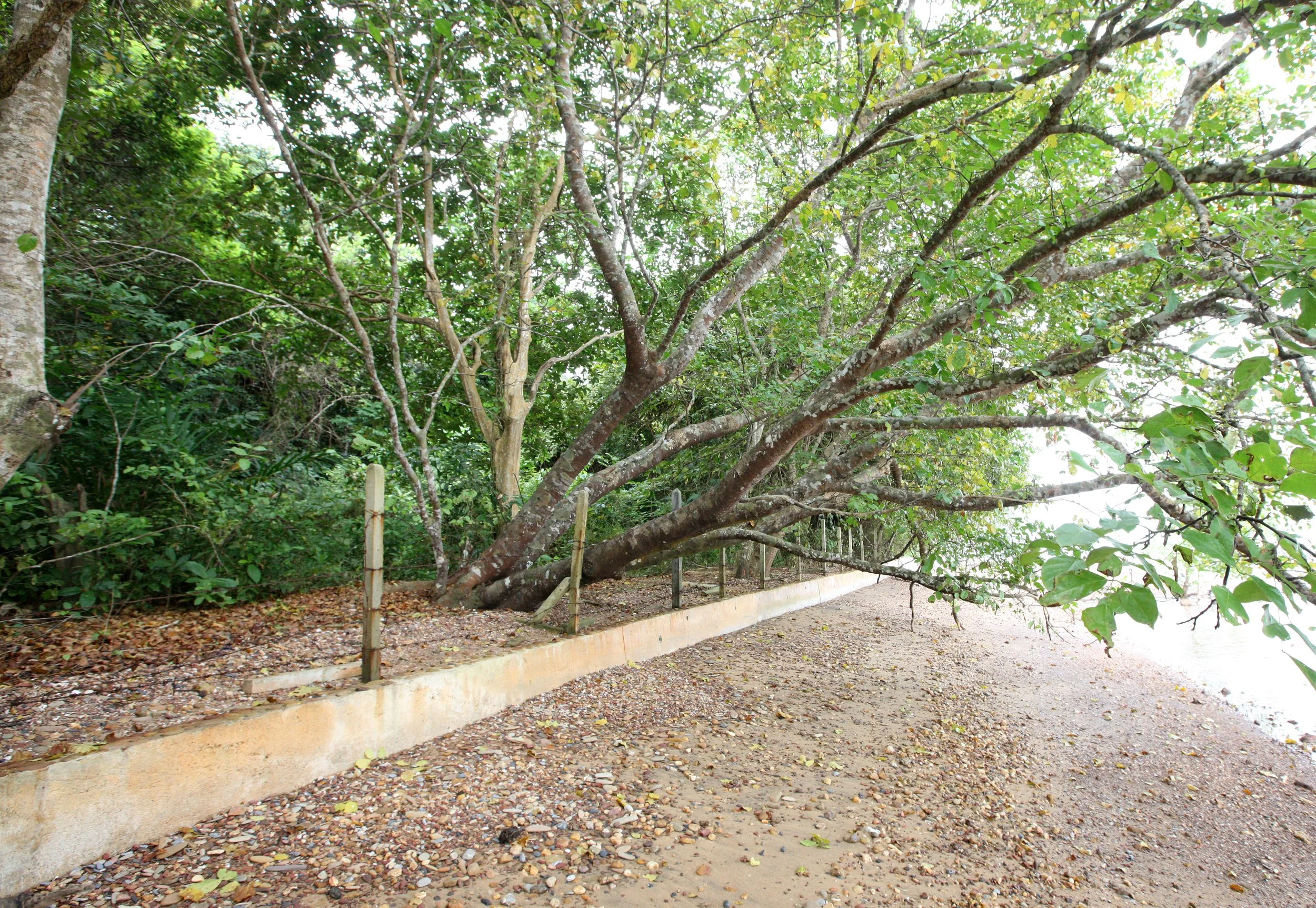 LANTA ISLAND - OUR PROPERTY - WINTER 2011 (20).JPG