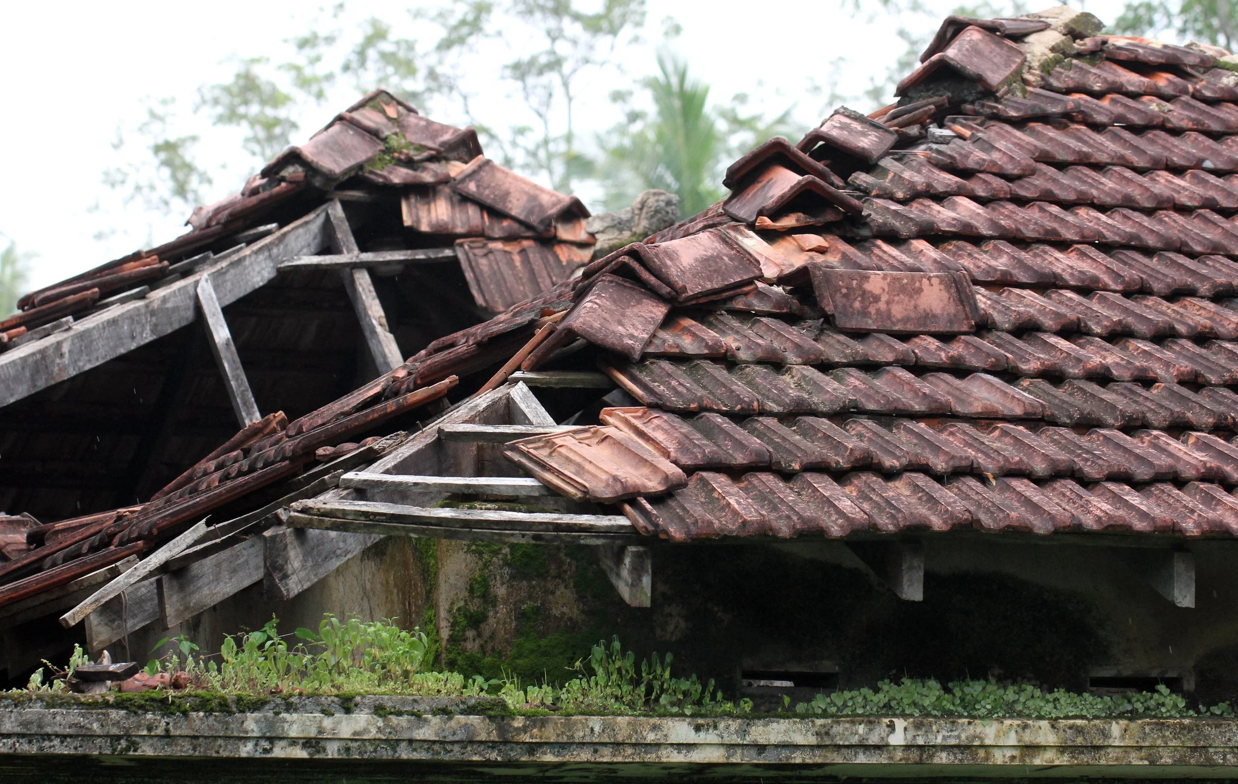 SIRIGIYA FOREST AND FORTRESS AREA SRI LANKA - PHOTO BY SOM SMITH (89).JPG
