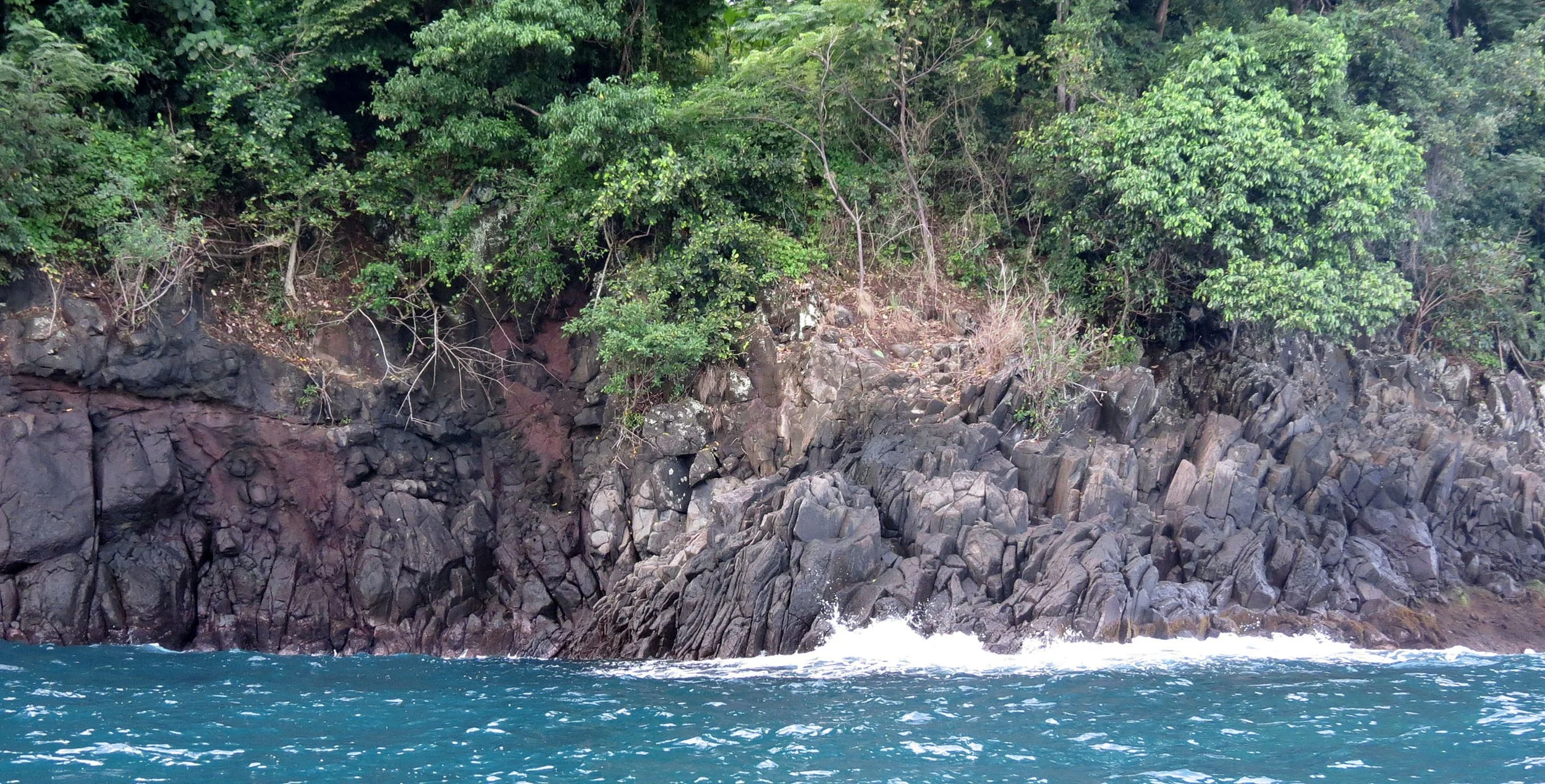 TANGKOKO NATIONAL PARK, SULAWESI INDONESIA  (29).JPG