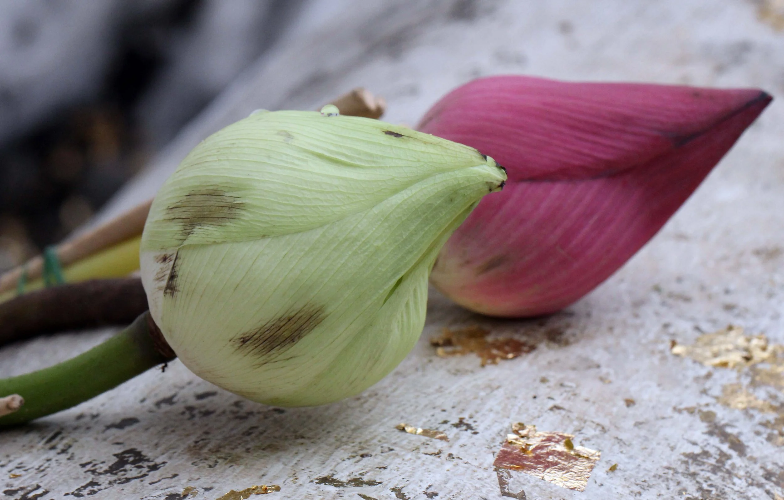 2013 Ayutthaya ISB Passion Day (101).JPG