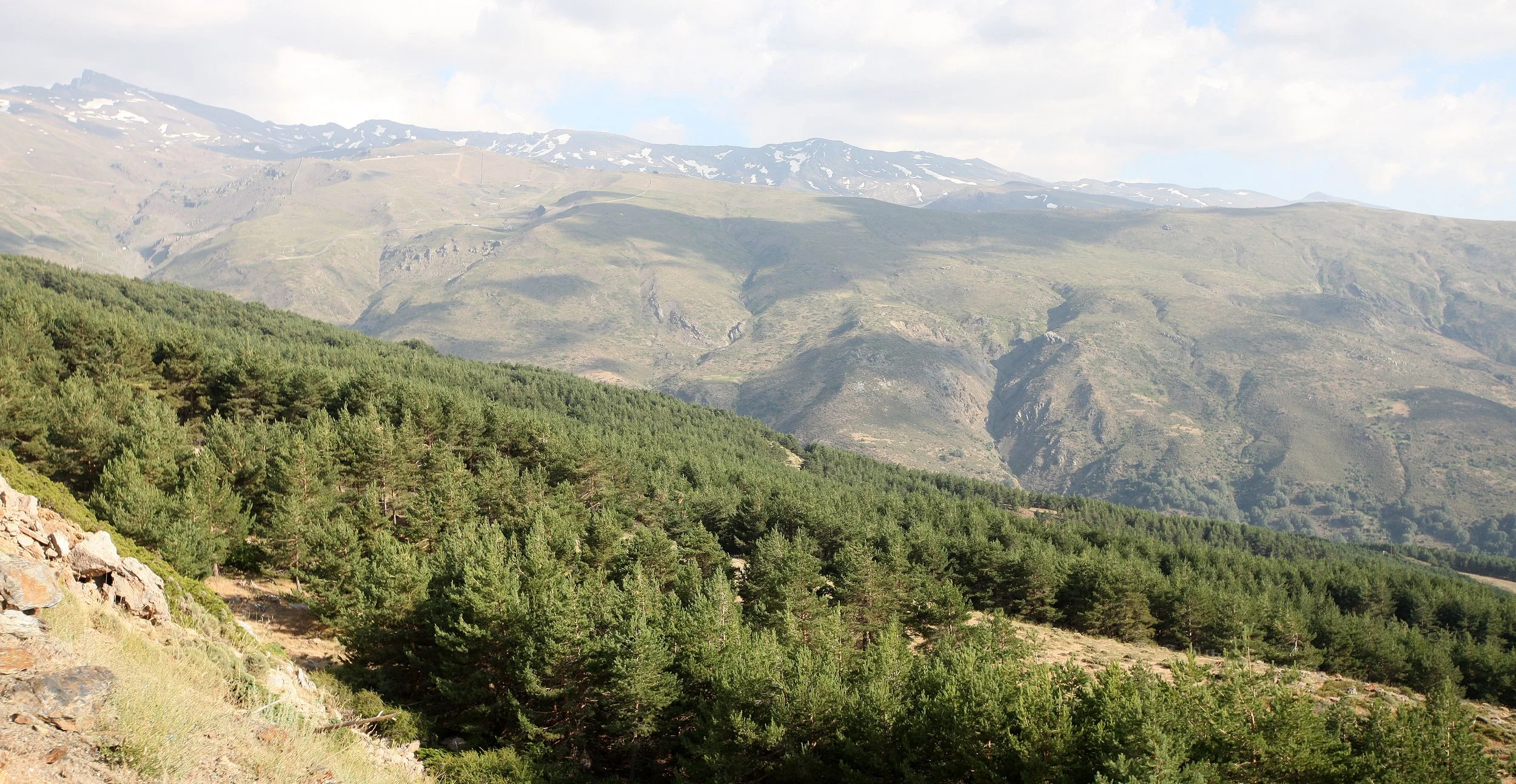 SIERRA NEVADA NATIONAL PARK SPAIN (104).JPG