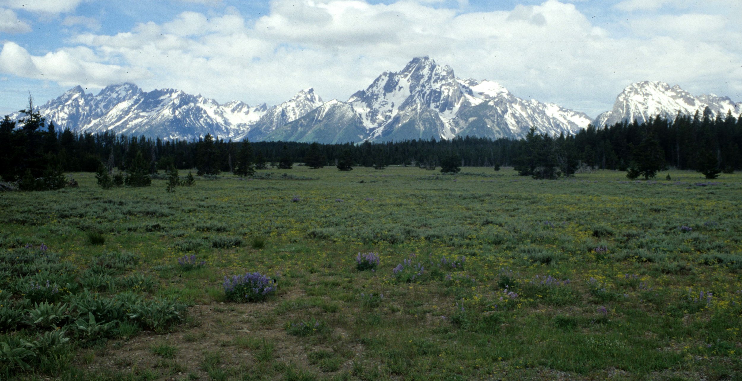 WYOMING - GRAND TETONS C.jpg