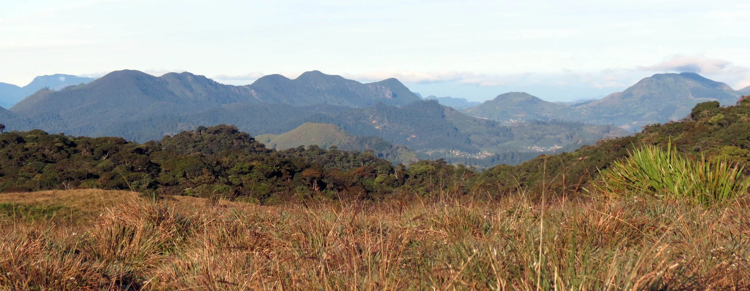 HORTON PLAIN NATIONAL PARK SRI LANKA (12).JPG