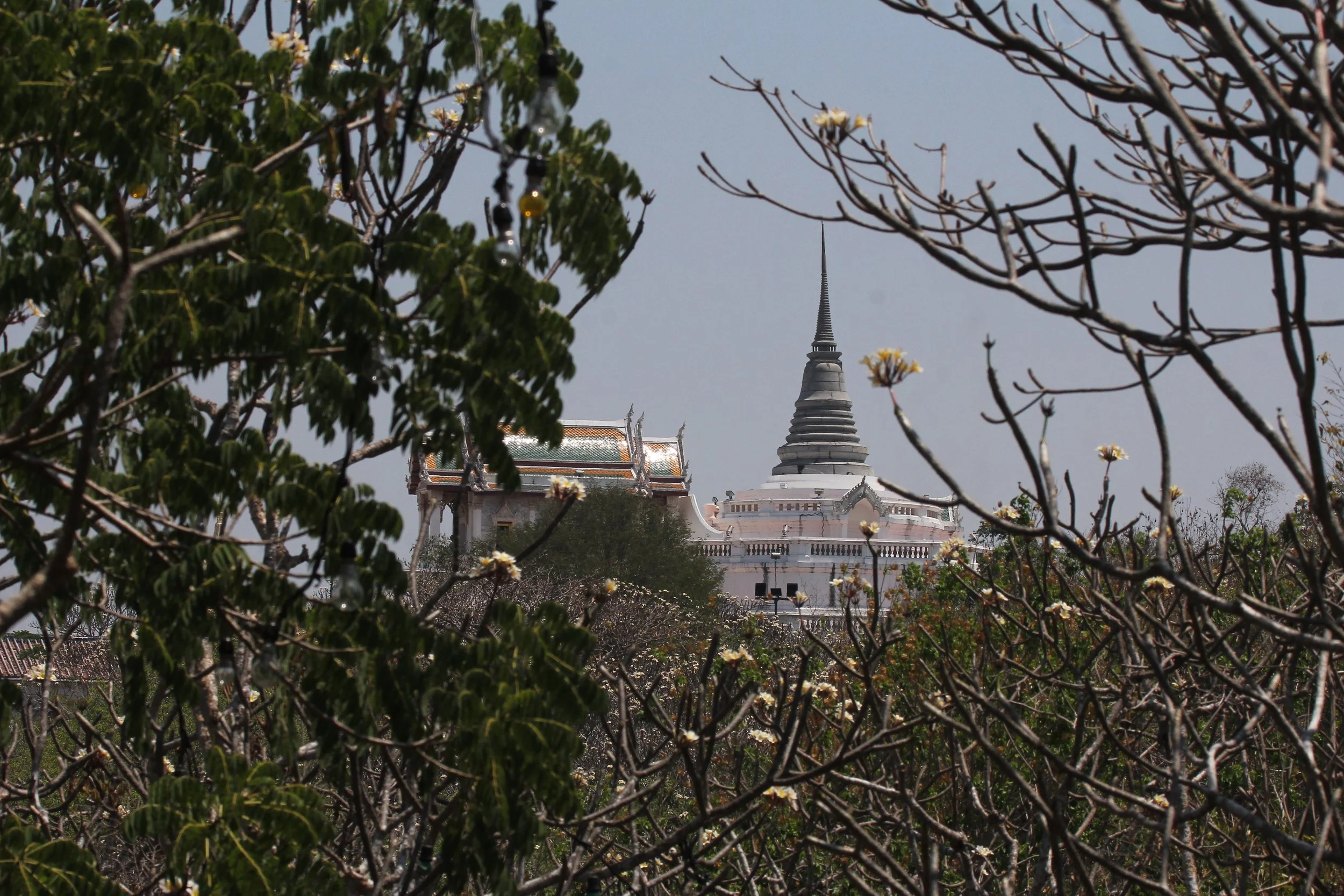 2020 Petchaburi Temple Trip with Cokie (121).JPG