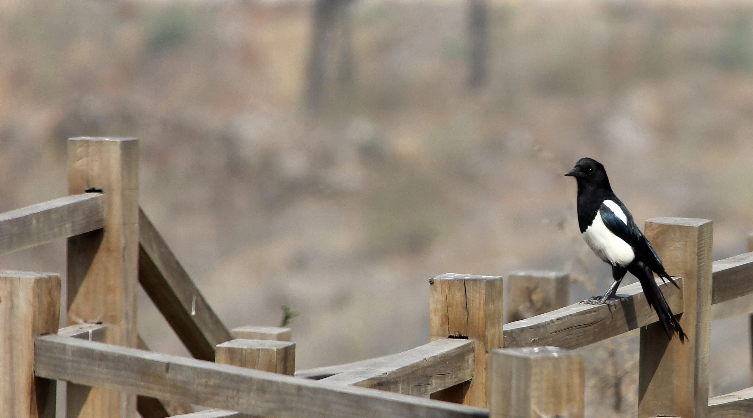 DONGHEKOU EARTHQUAKE VILLAGE AND MEMORIAL - SICHUAN CHINA (24).JPG