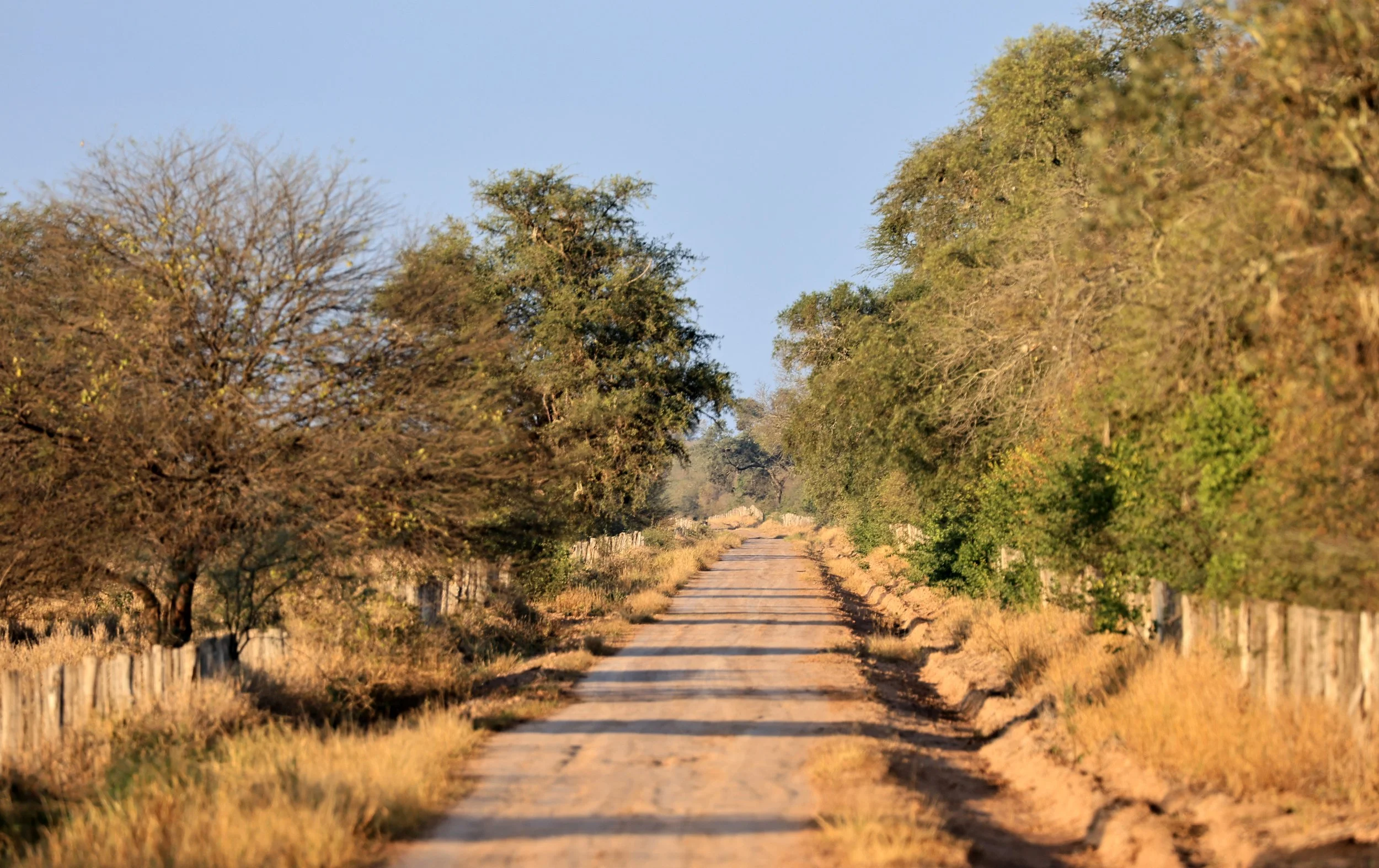 Aurora Chaquena Reserve, Neuland Mennonite Colony 