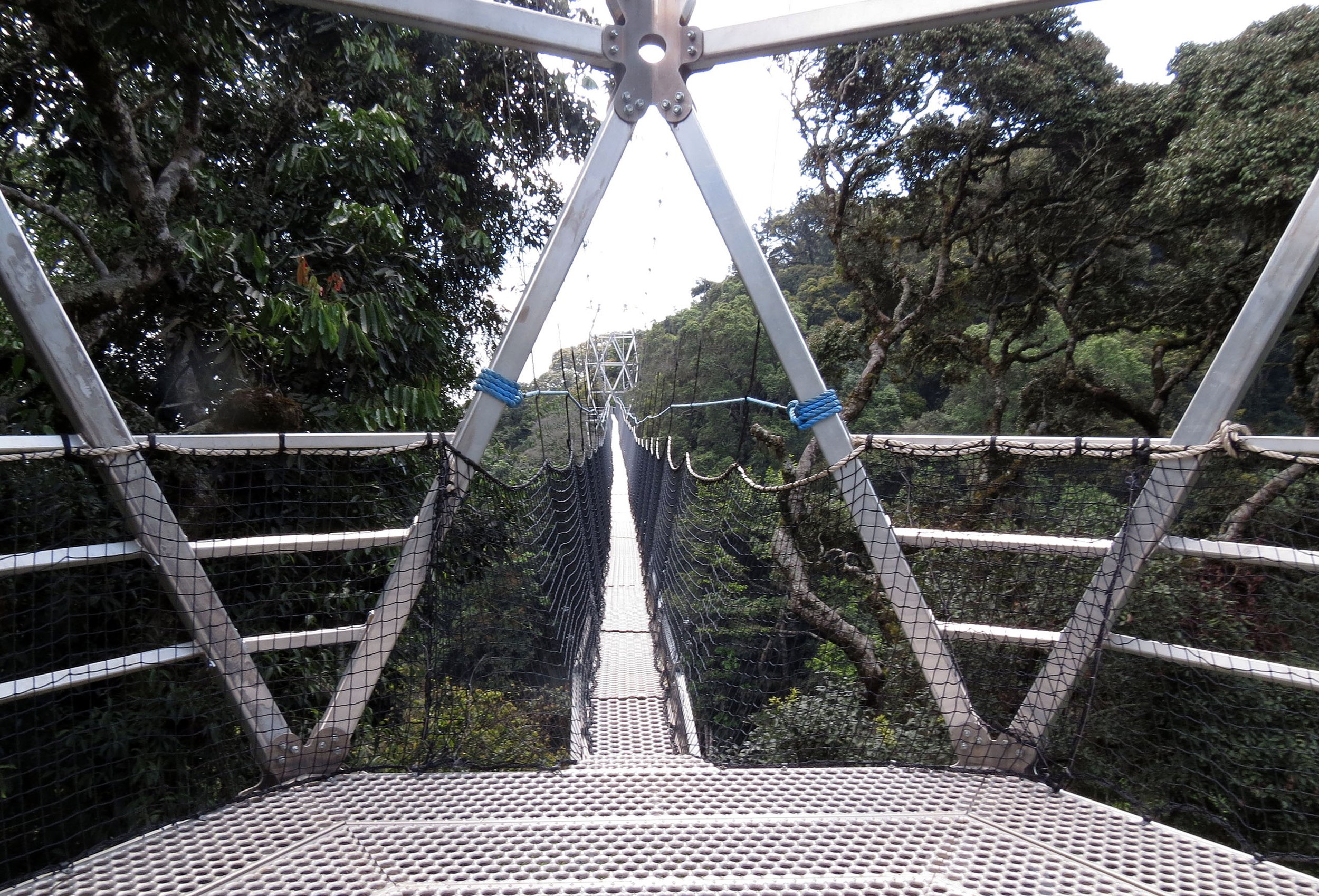 NYUNGWE NATIONAL PARK RWANDA (593).JPG
