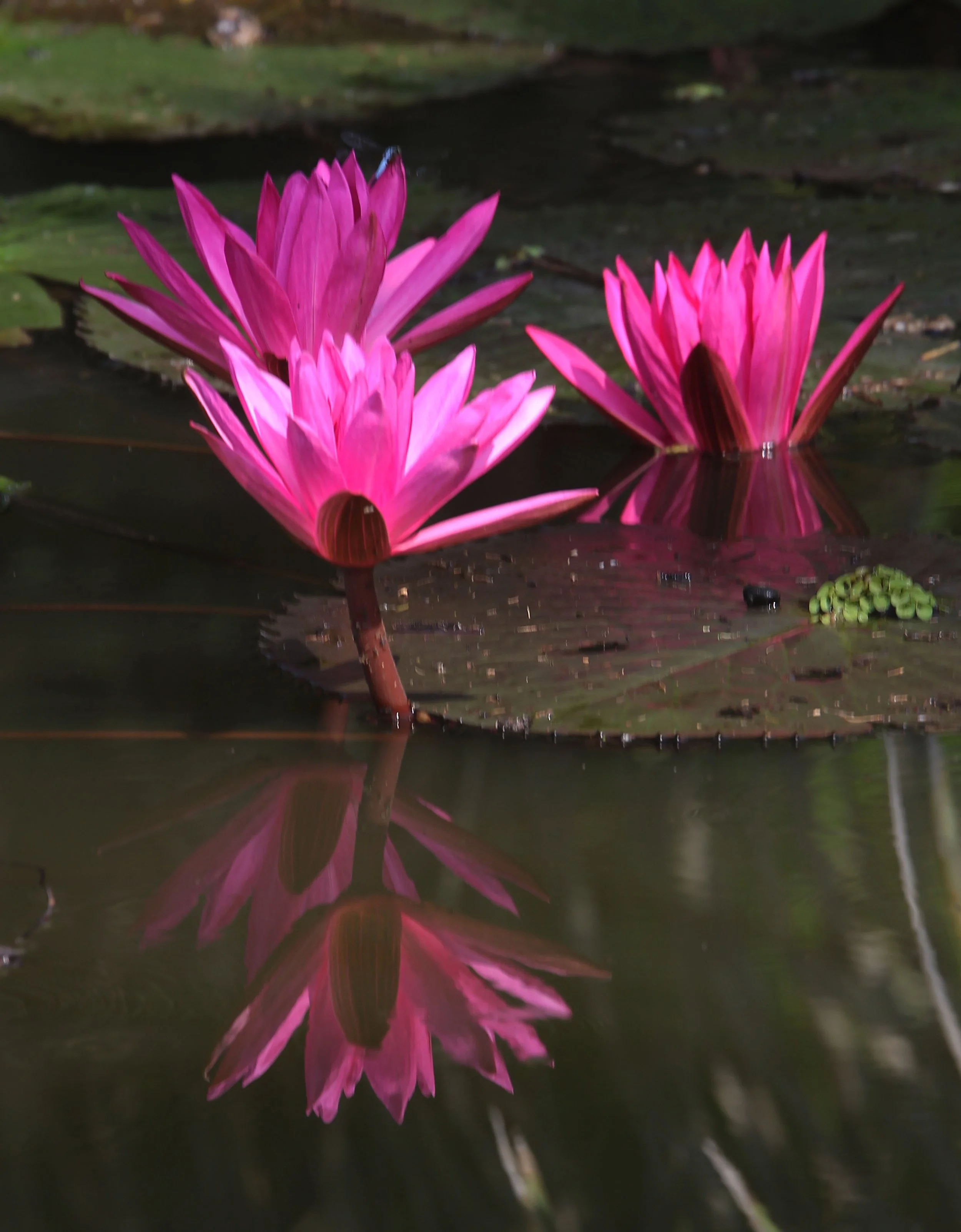 2015 Koh Lanta October Break Trip  (348).JPG