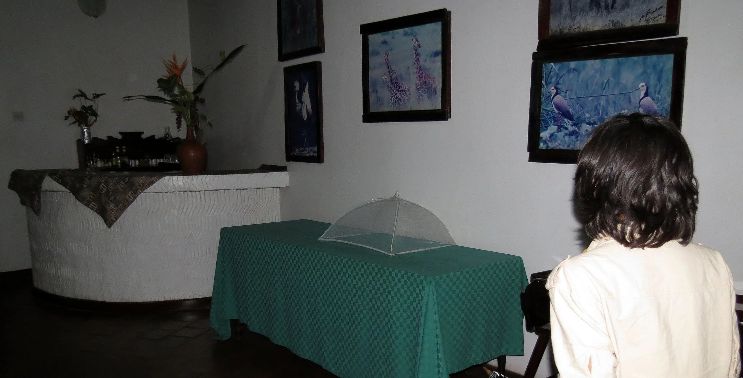 MURCHISON FALLS UGANDA (19).JPG