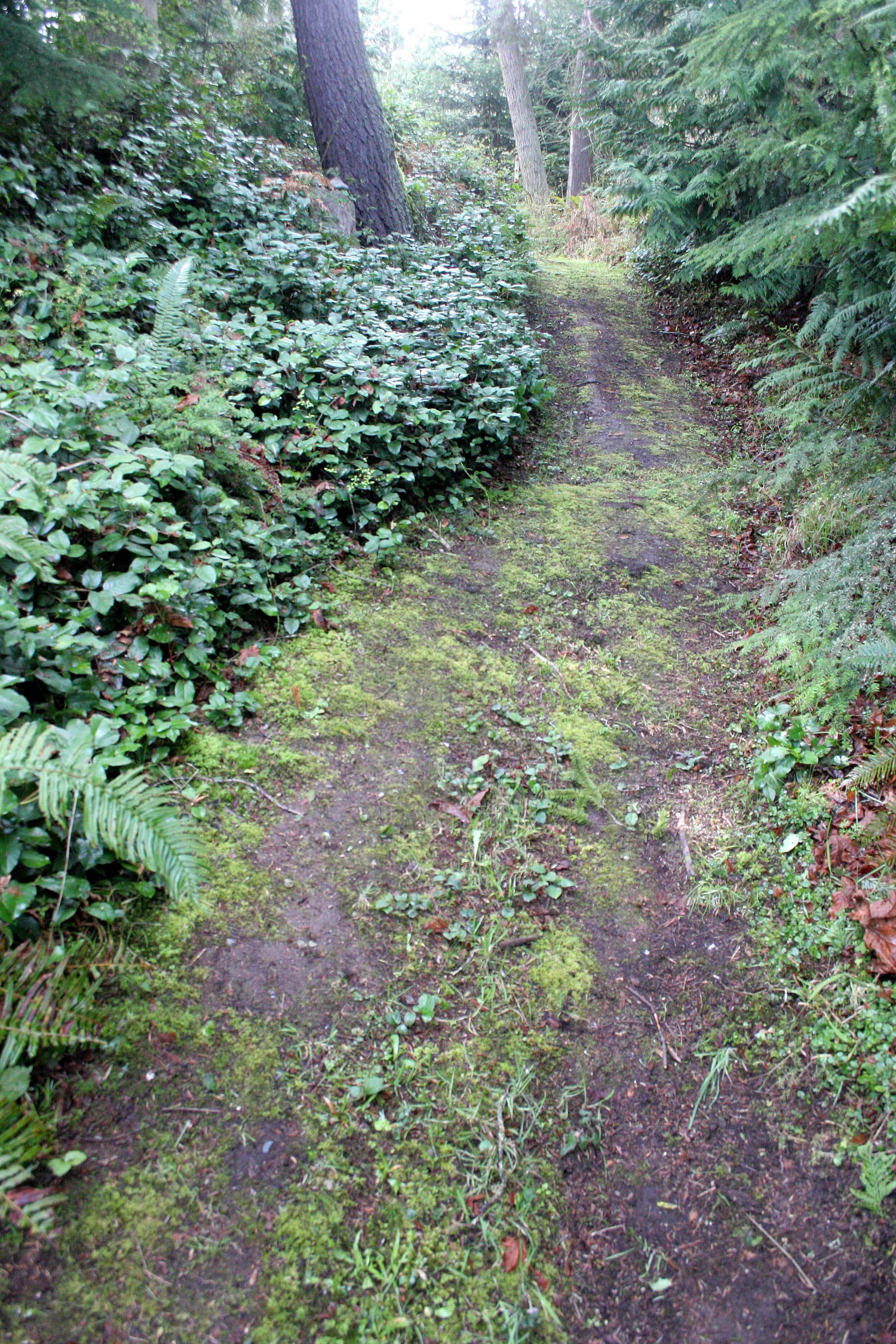 2008-4-19 LAKE FARM TRAILS WALK (33).JPG