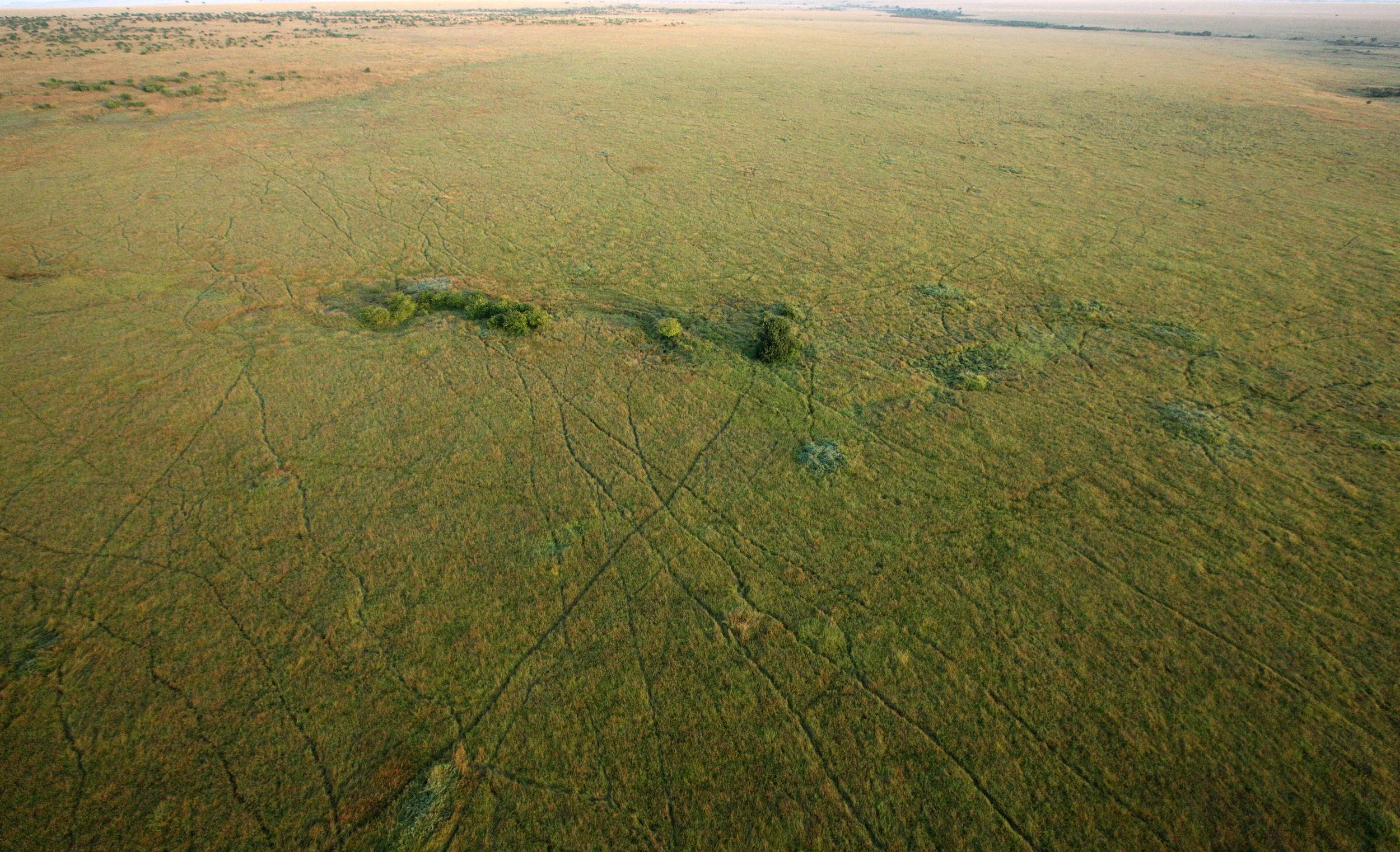 MASAI MARA NATIONAL PARK KENYA (103).JPG