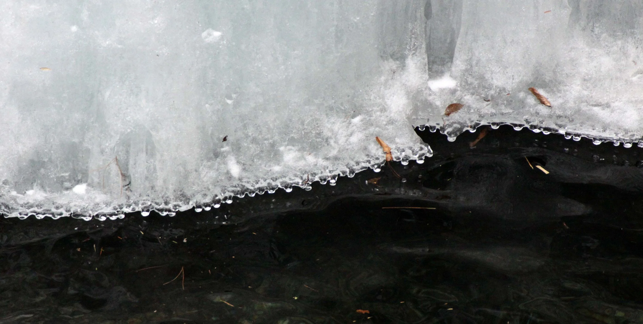 FOPING NATURE RESERVE - SHAANXI PROVINCE CHINA (114).JPG