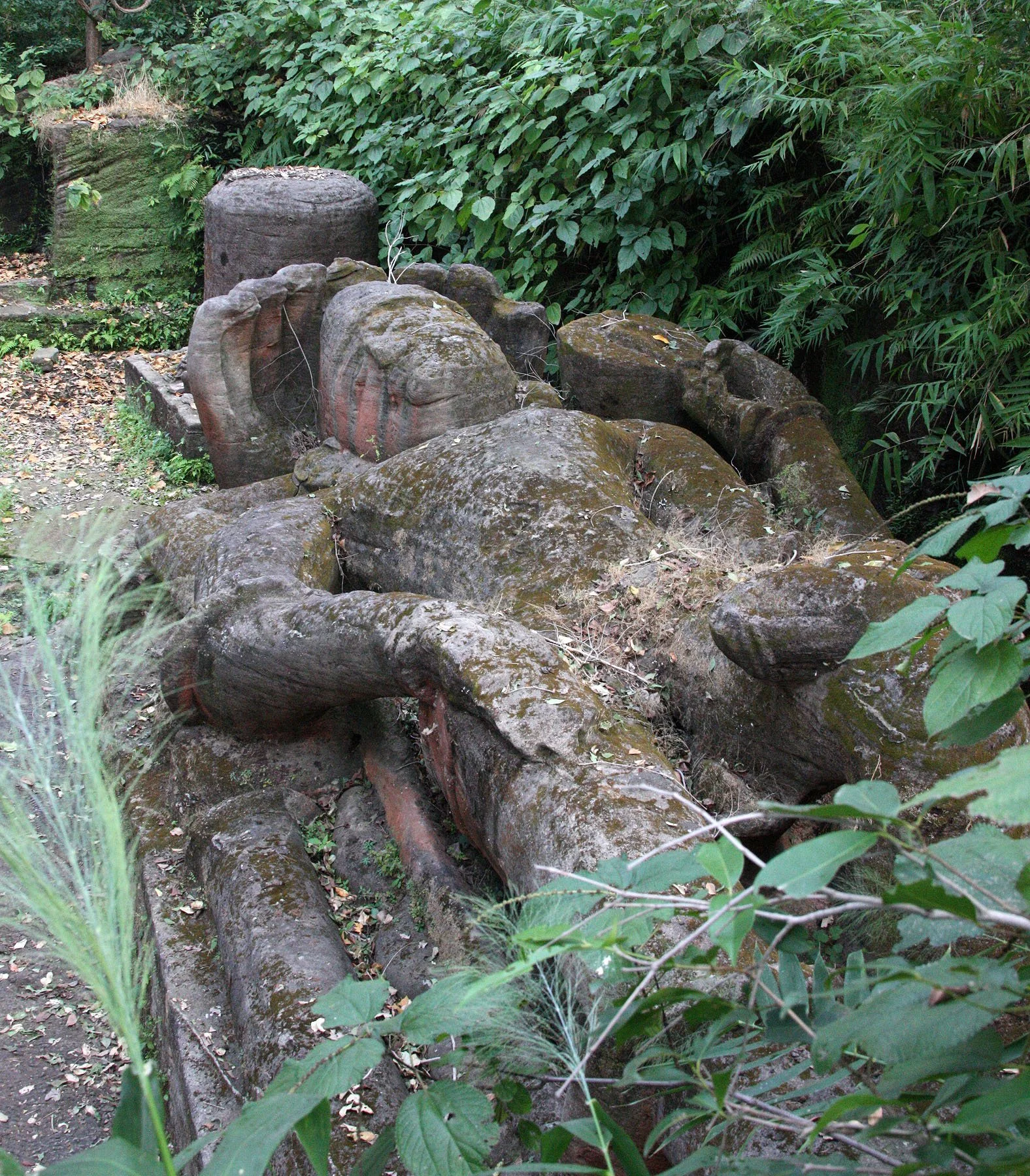 MADHYA PRADESH - BANDHAVGAR NATIONAL PARK MADHYA PRADESH INDIA (21).JPG