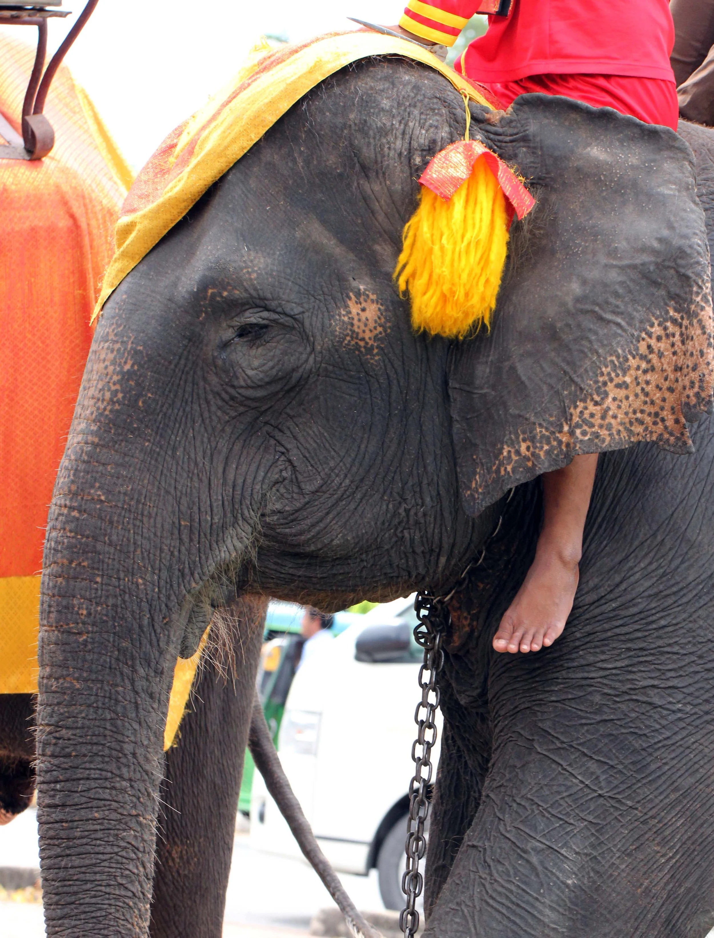2013 Ayutthaya ISB Passion Day (28).JPG