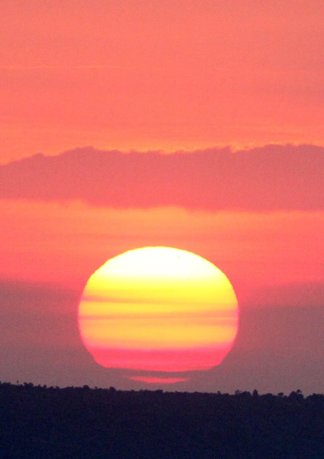 MASAI MARA NATIONAL PARK KENYA (8).JPG