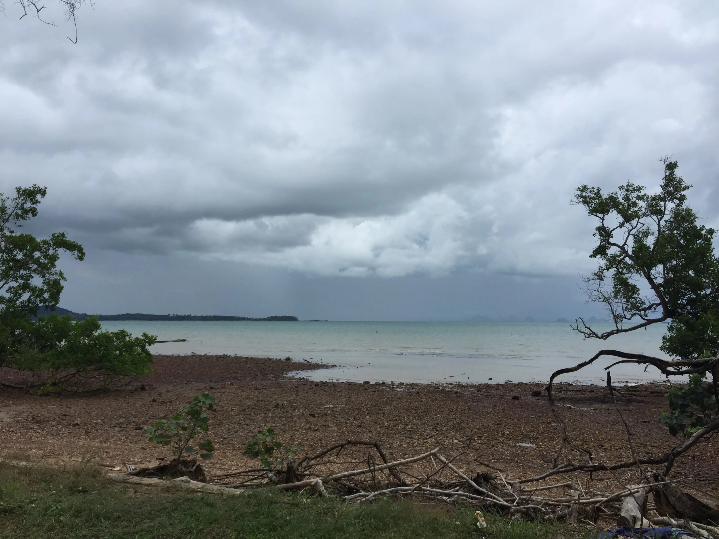 2015 Koh Lanta Garden & Nature (191).JPG