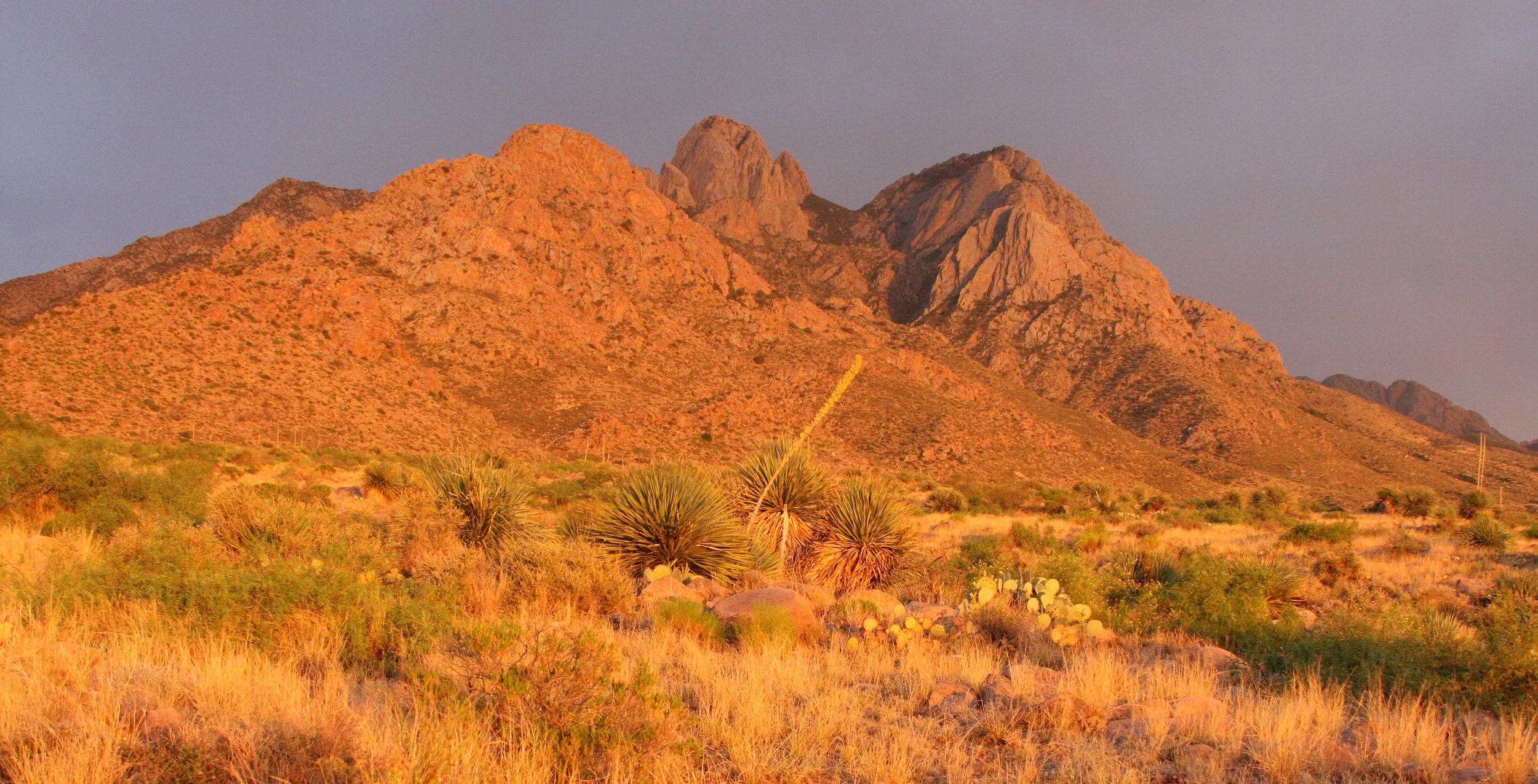 LAS CRUCES NEW MEXICO - ORGAN MOUNTAINS (13).JPG