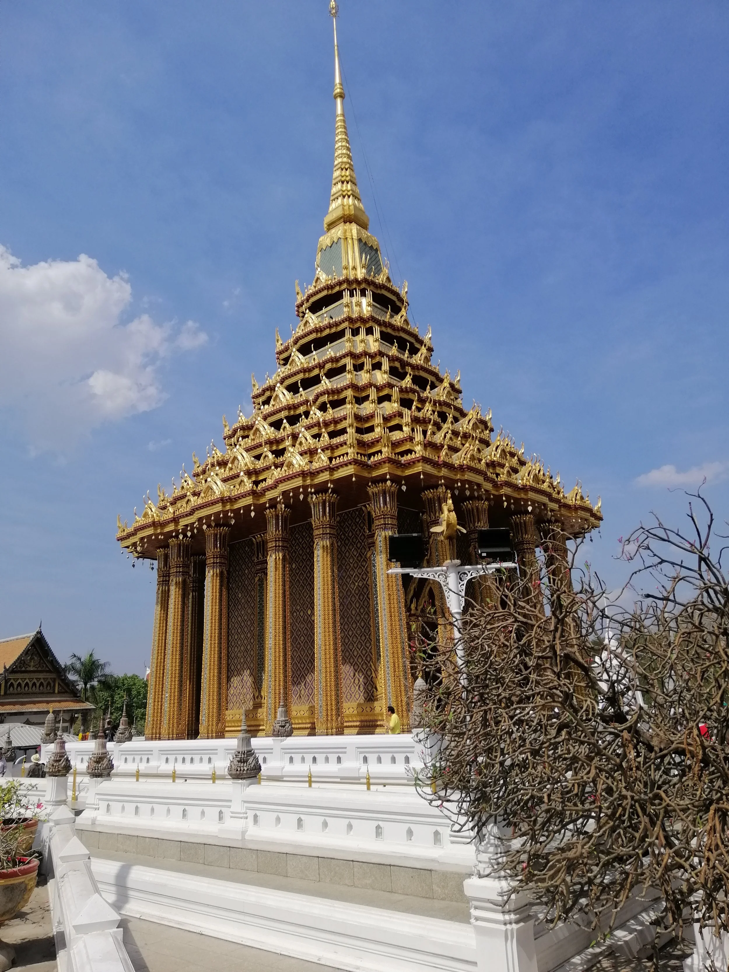 2020 Saraburi Wat Phra Phutthabat with Cokie (1).jpg