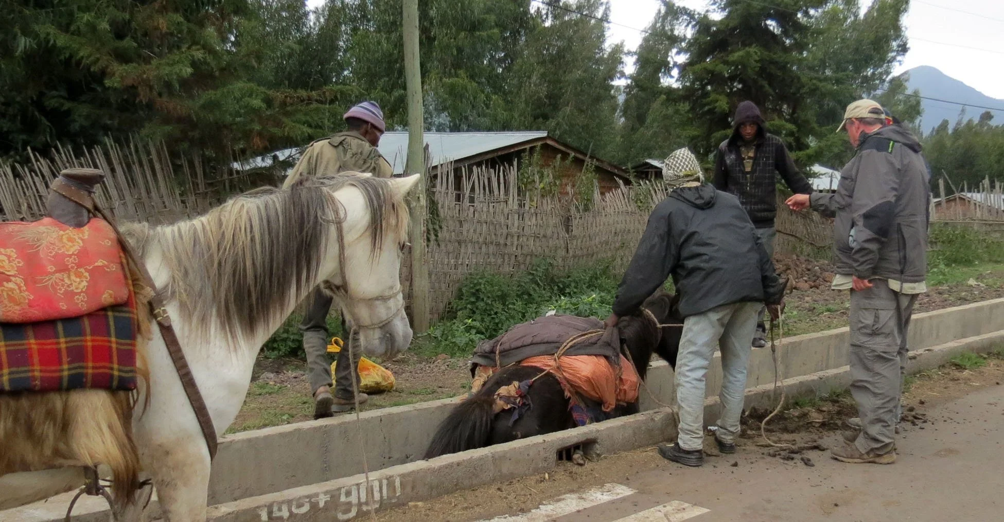 BALE MOUNTAINS NATIONAL PARK ETHIOPIA - GOBA TOWN (71).JPG