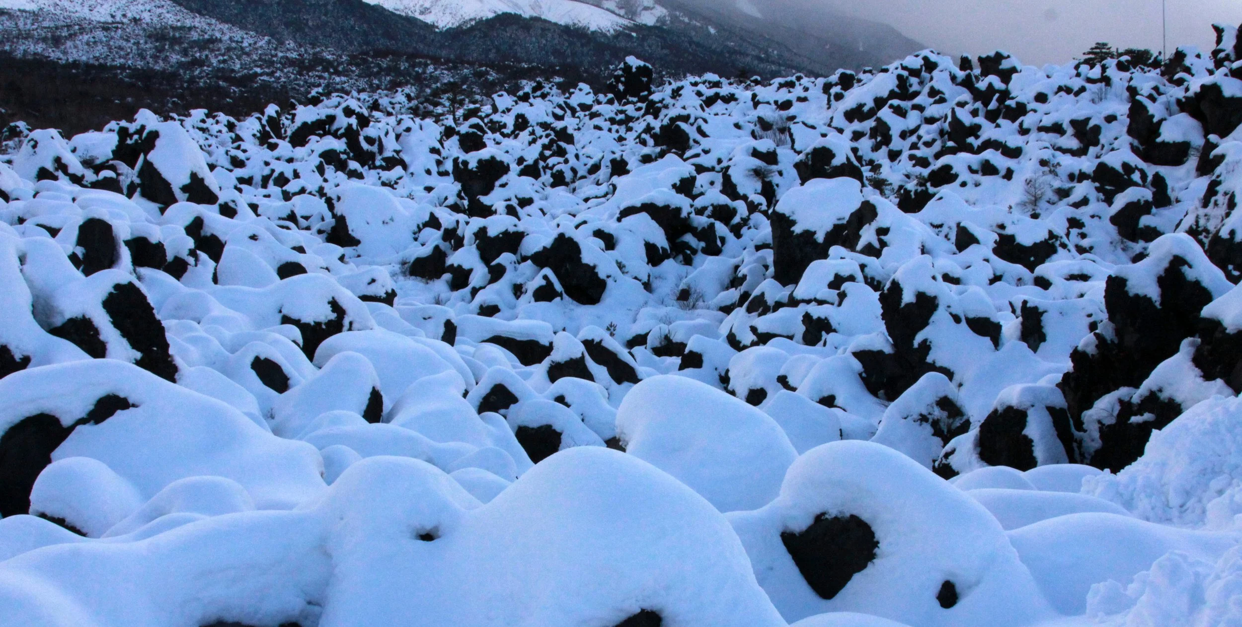 MOUNT ASAMA - JOSHIN'ETSUKOGEN NATIONAL PARK JAPAN (85).JPG