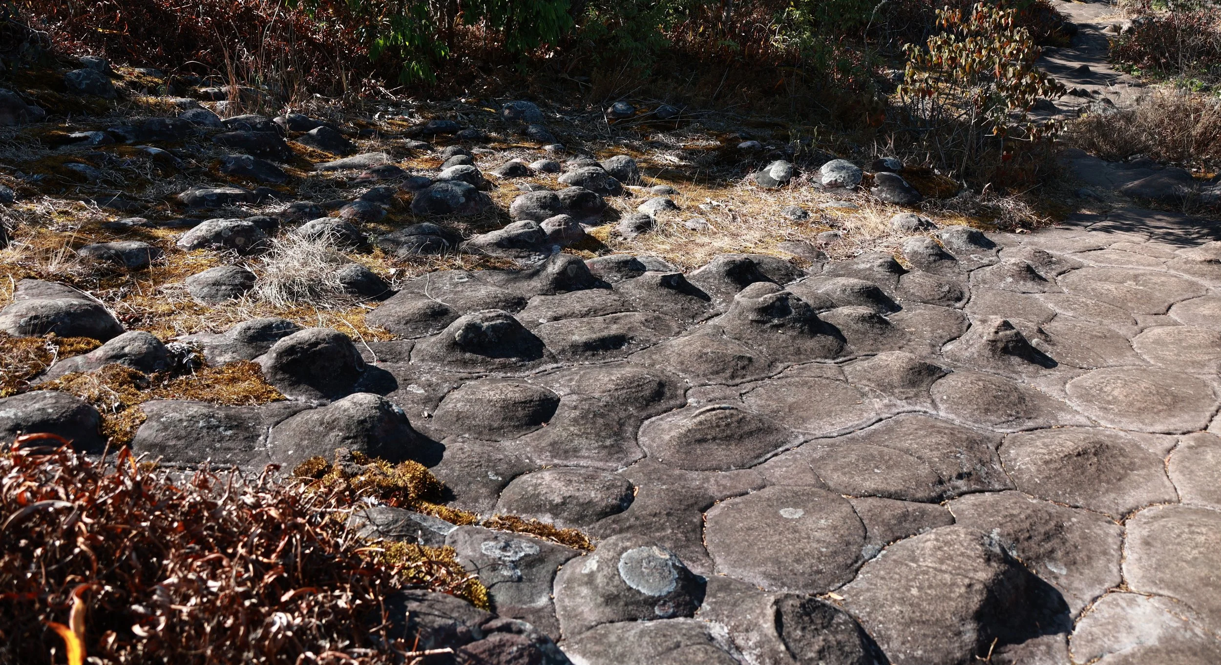 Phu Hin Rong Kla National Park Loei Province (42).jpg