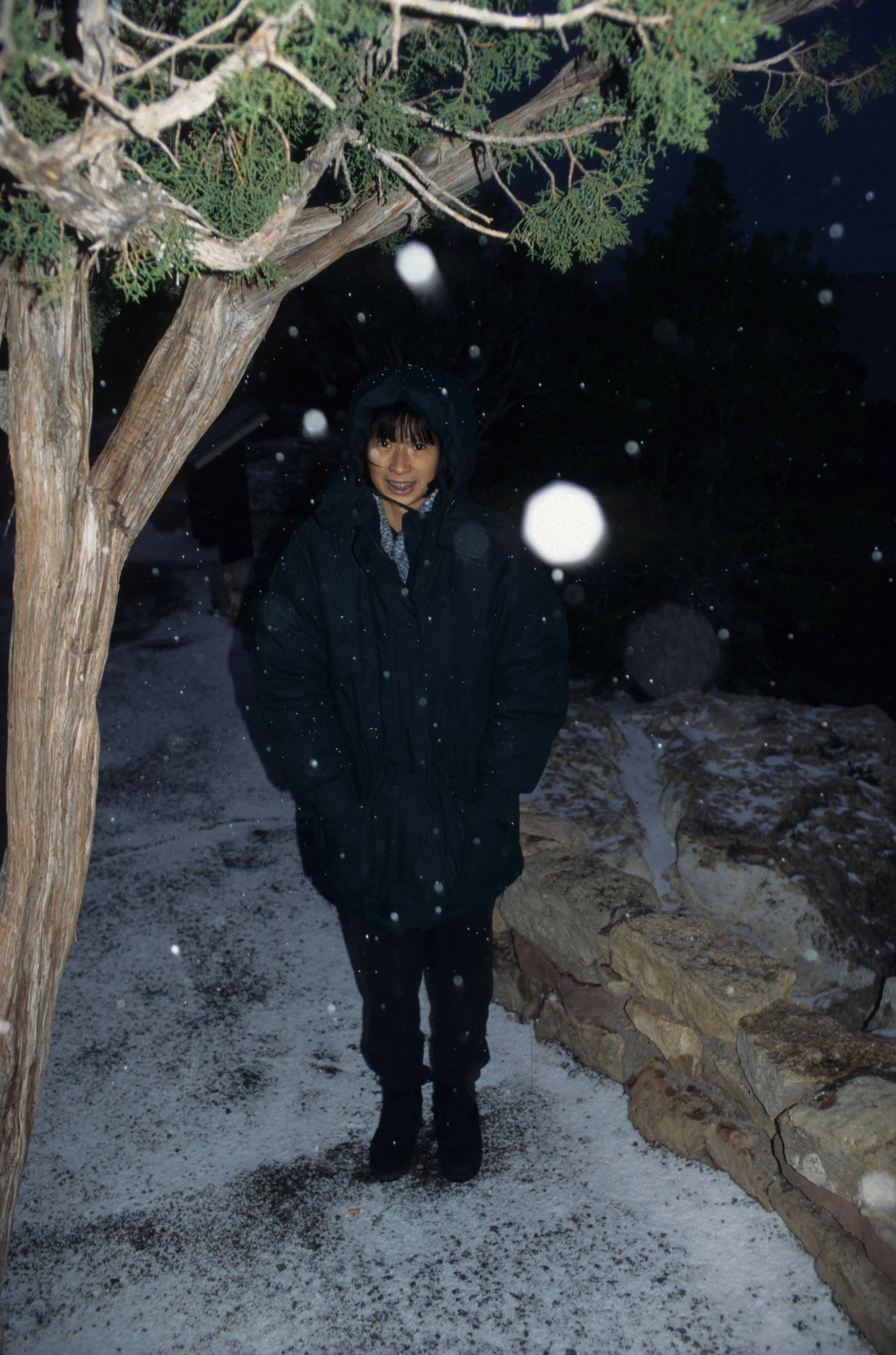 ARIZONA - GRAND CANYON - SOUTH RIM VIEW - LIEN IN SNOW.jpg