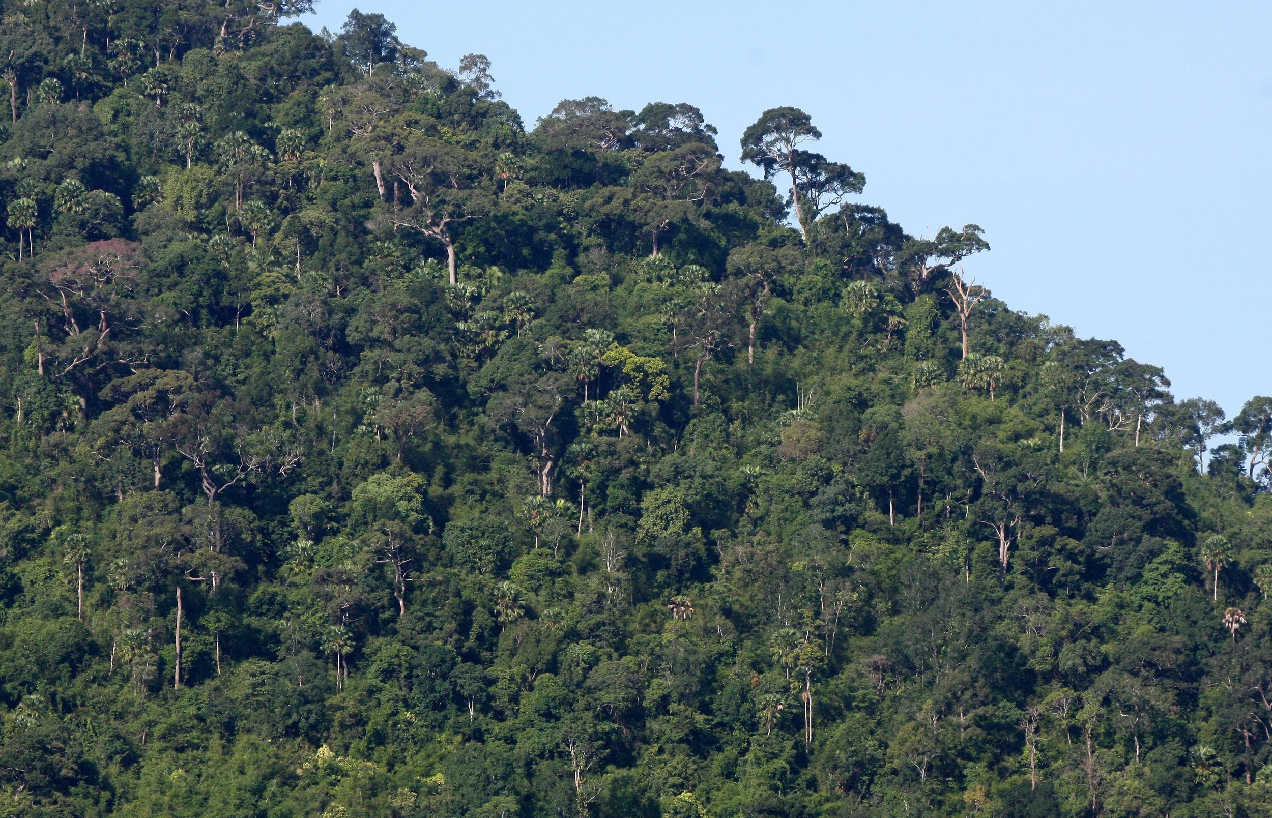 2008 Khao Luang NP Krung Chin Waterfalls Area (10).JPG
