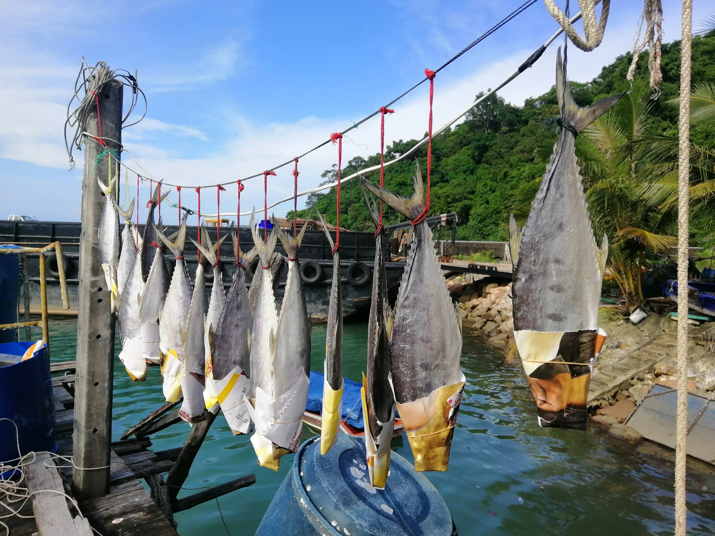 2019 Koh Kood Road Trip (61).jpg