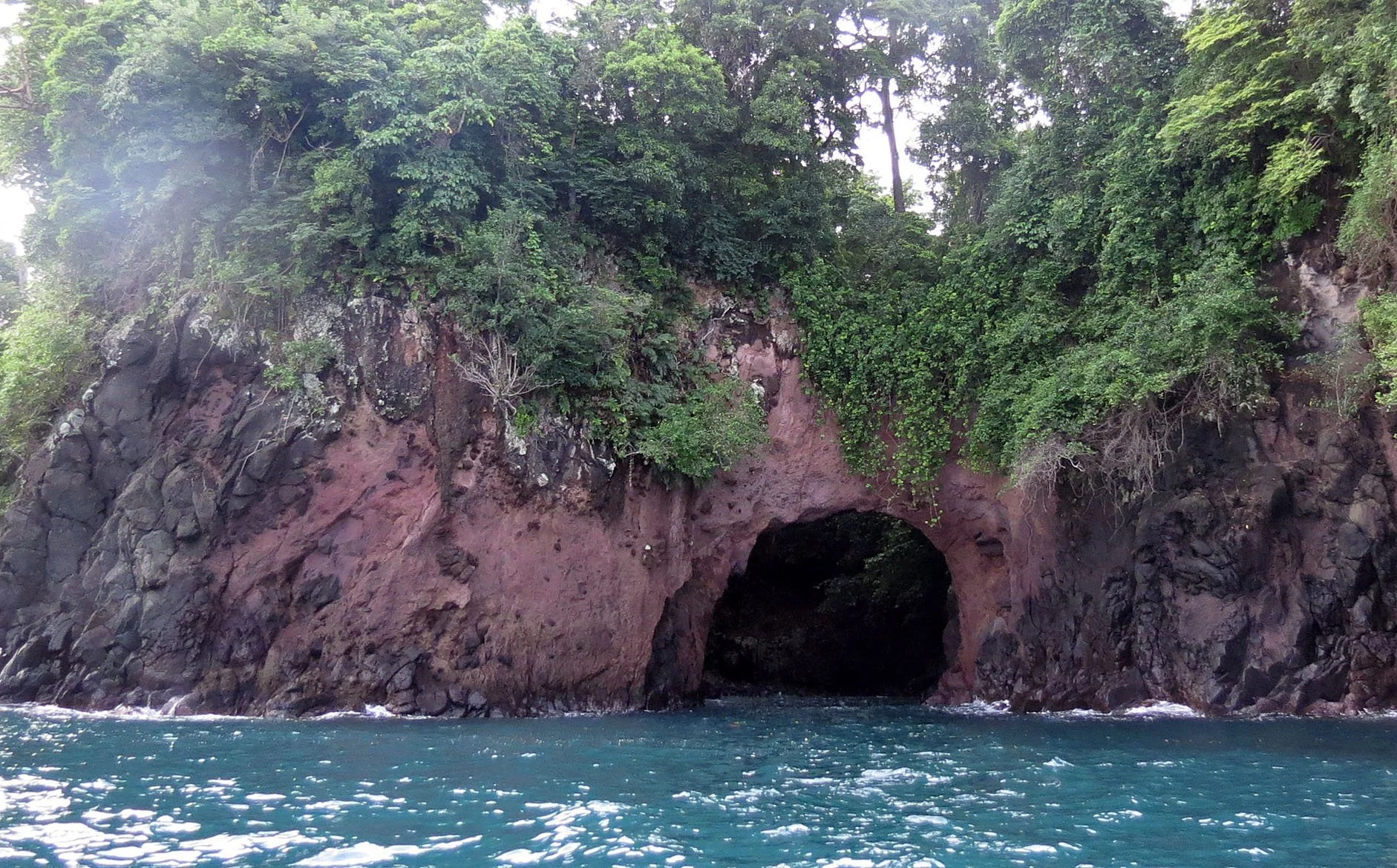 TANGKOKO NATIONAL PARK, SULAWESI INDONESIA  (24).JPG