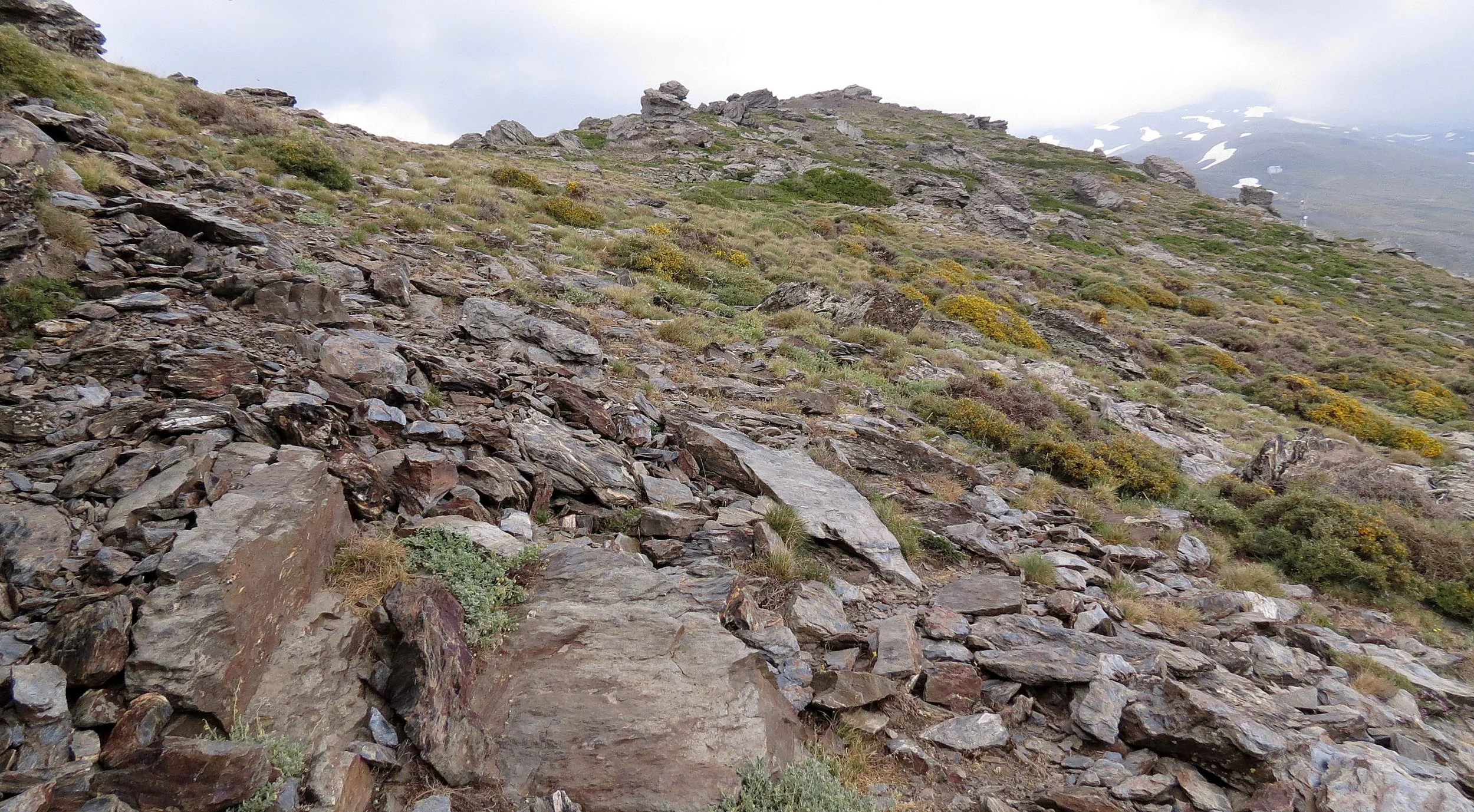 SIERRA NEVADA NATIONAL PARK SPAIN (53).JPG