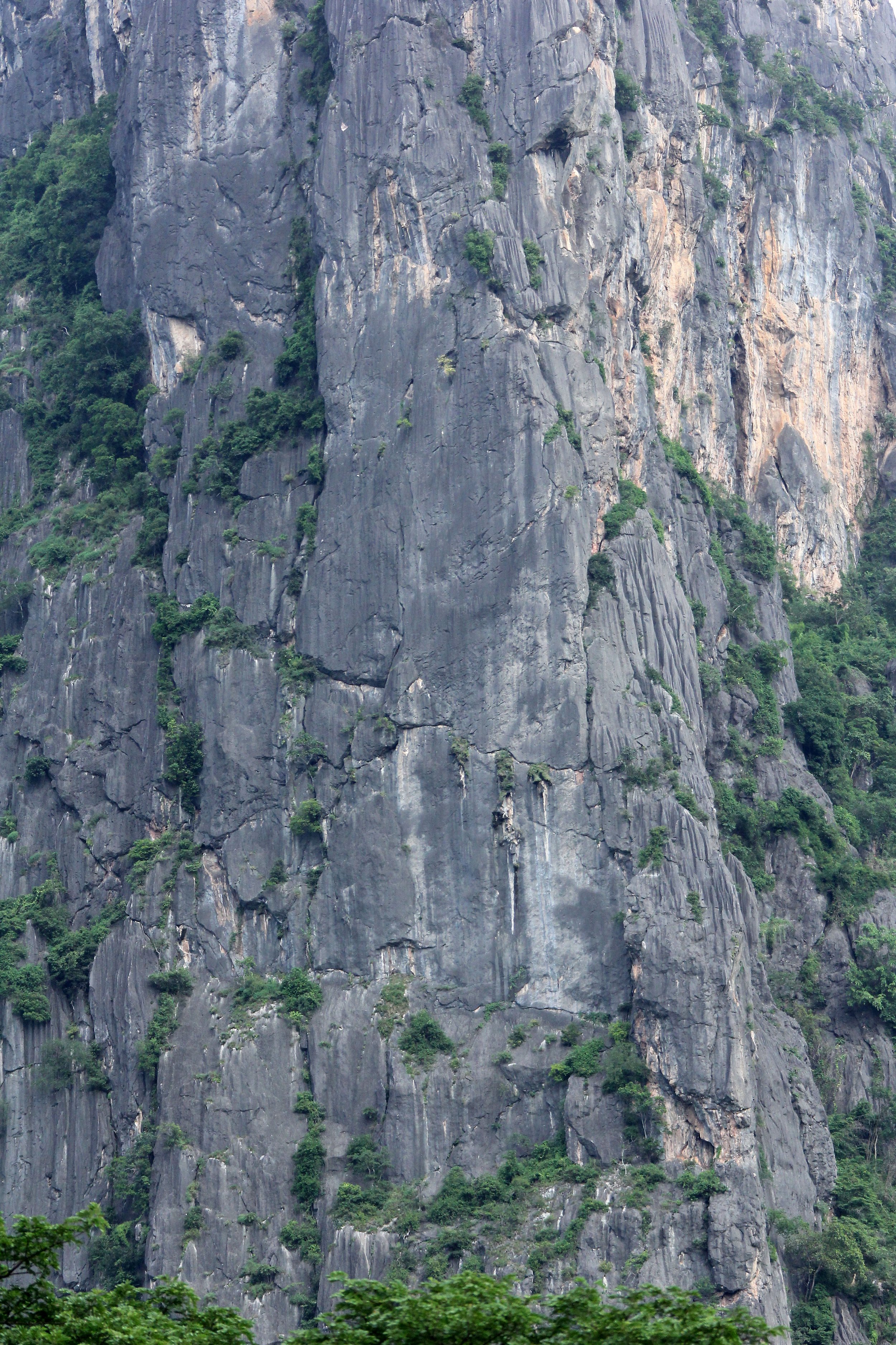 2017 Phu Khieo Wildlife Sanctuary  (27).JPG