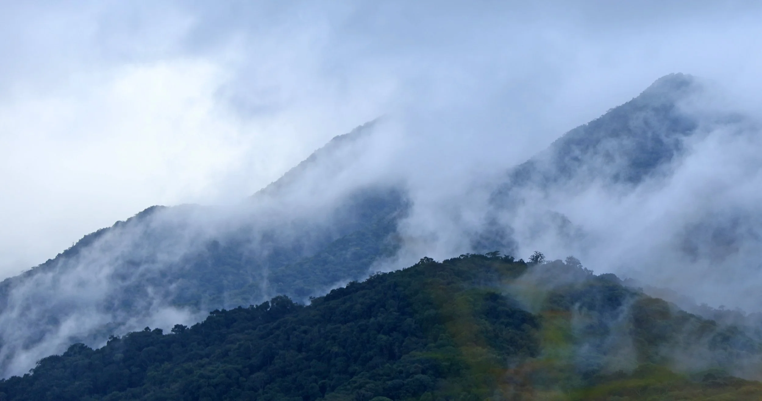 Superagüi National Park
