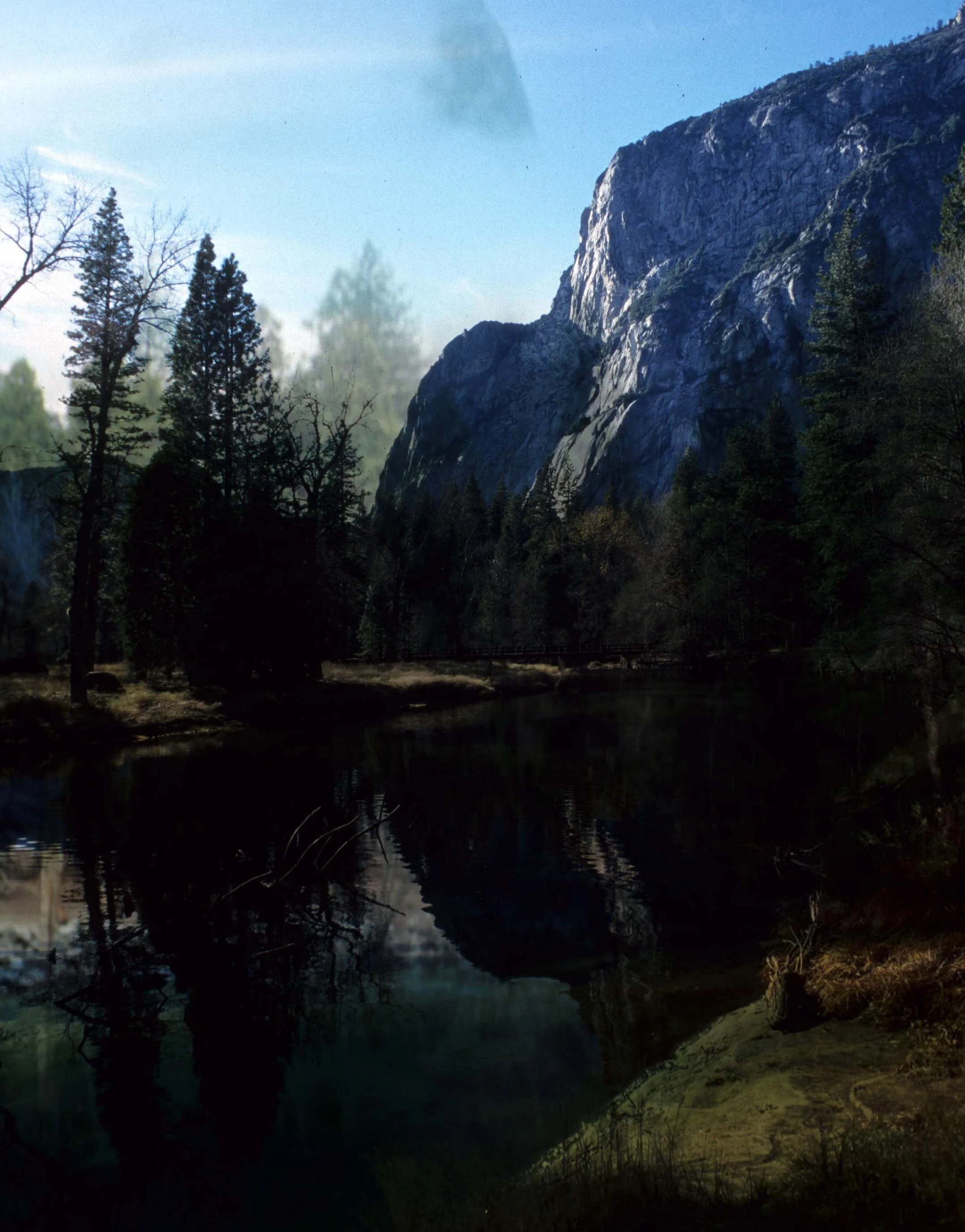 CALIFORNIA - YOSEMITE NP  (13).jpg