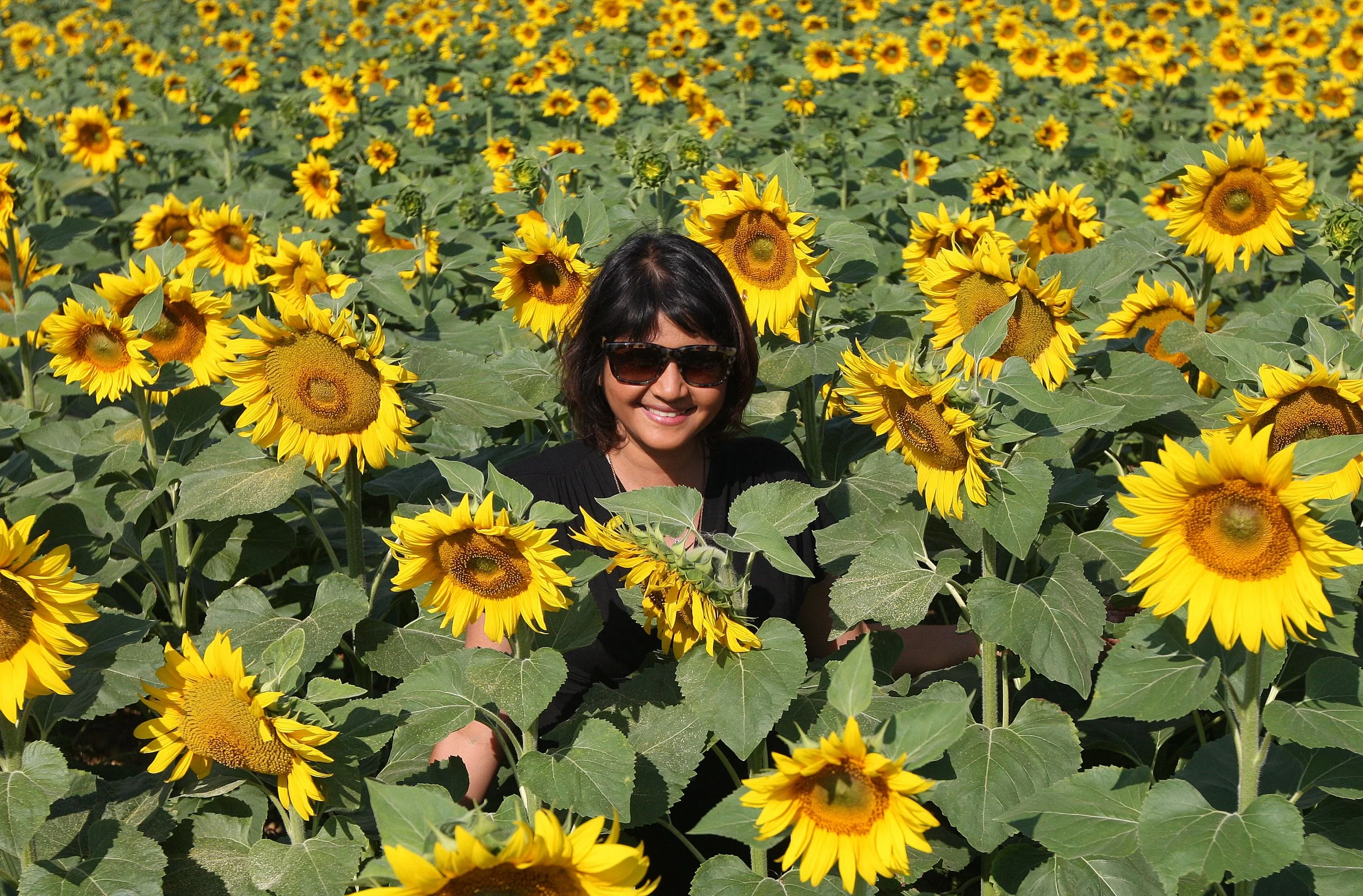 VERCORS NATIONAL PARK FRANCE (71).JPG