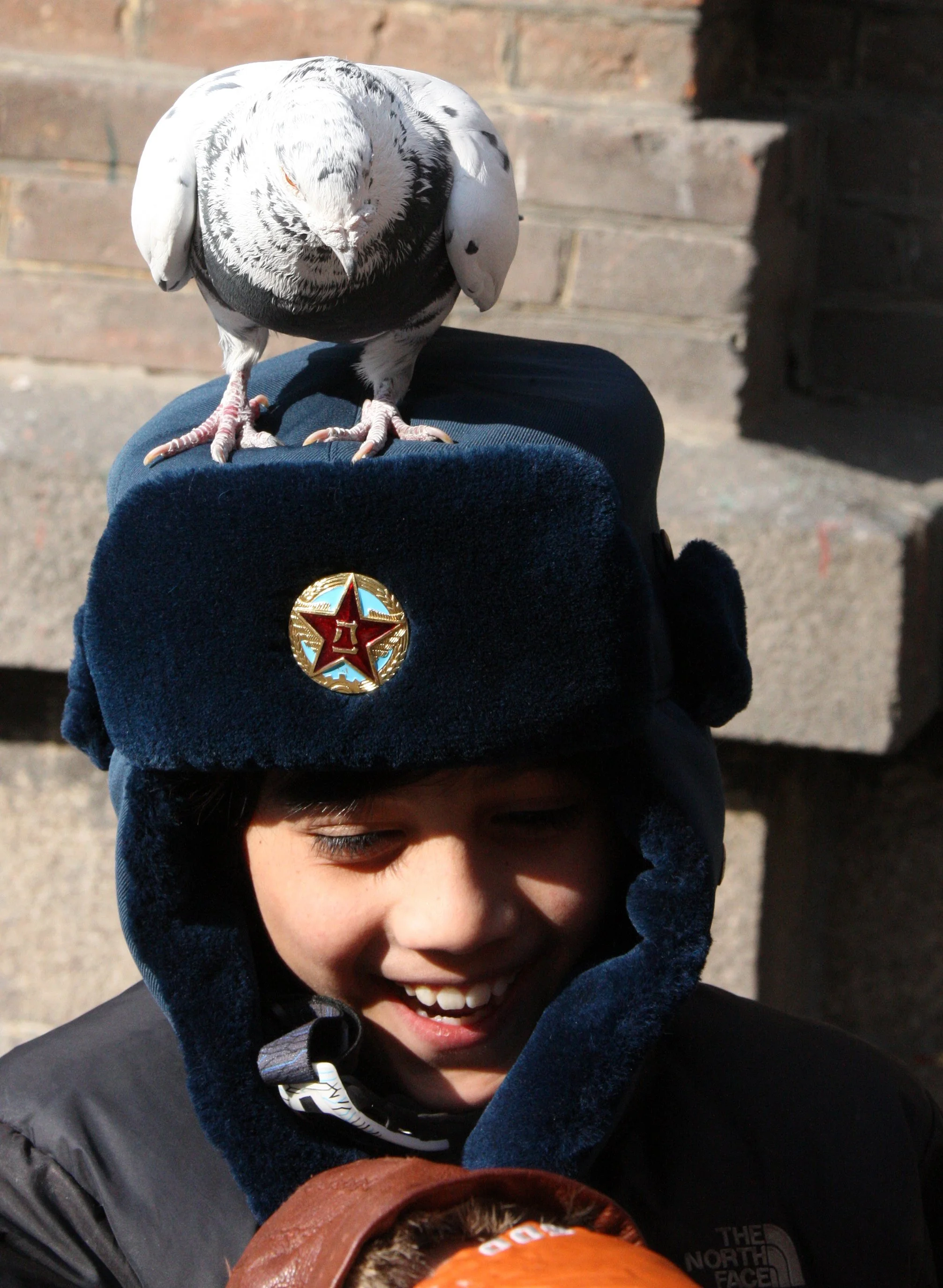BIRD - PIGEON - HARBIN SAINT SOPHIA'S CATHEDRAL CHINA (51).JPG