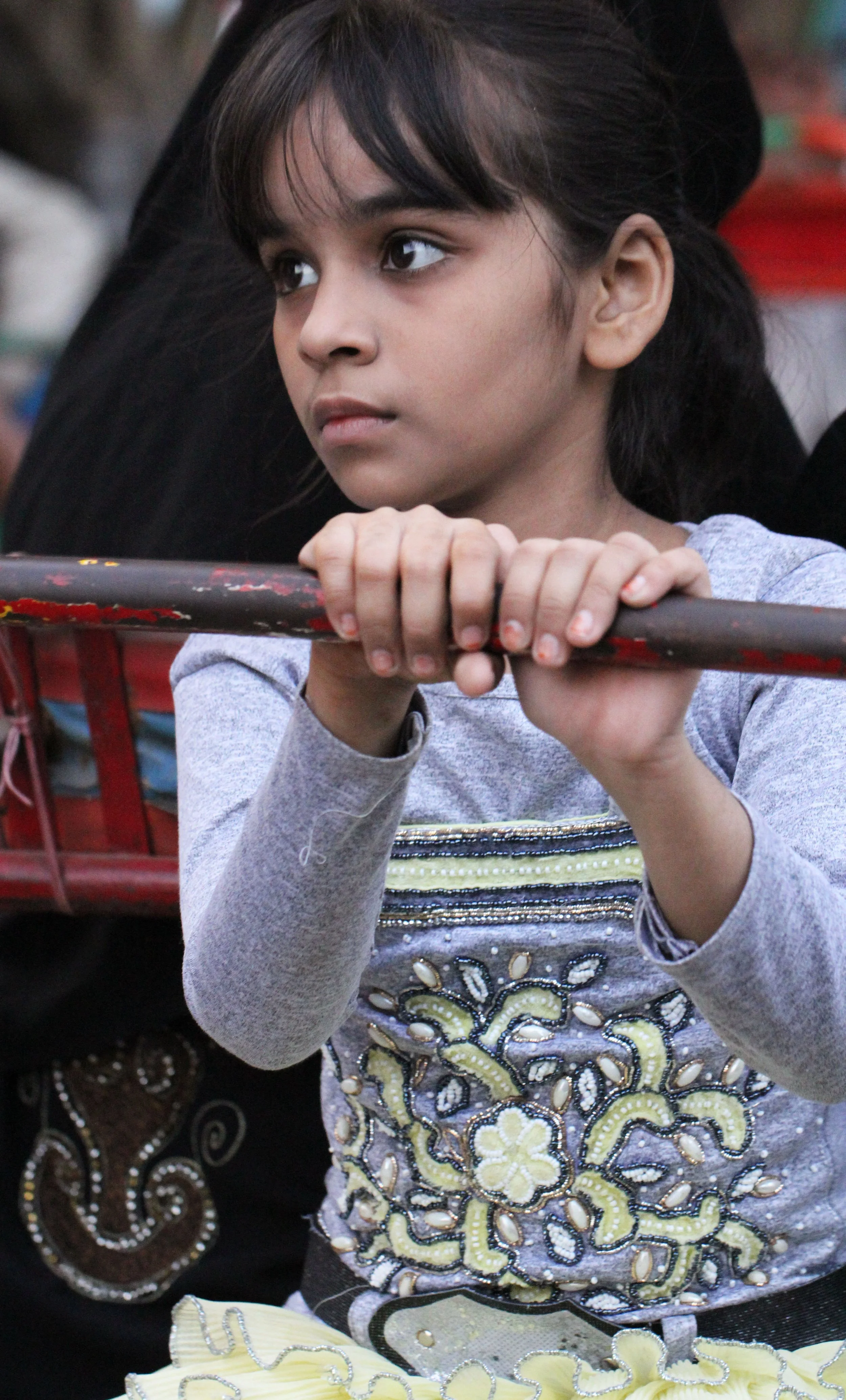 OLD DELHI INDIA - OCTOBER 2014 (62).JPG