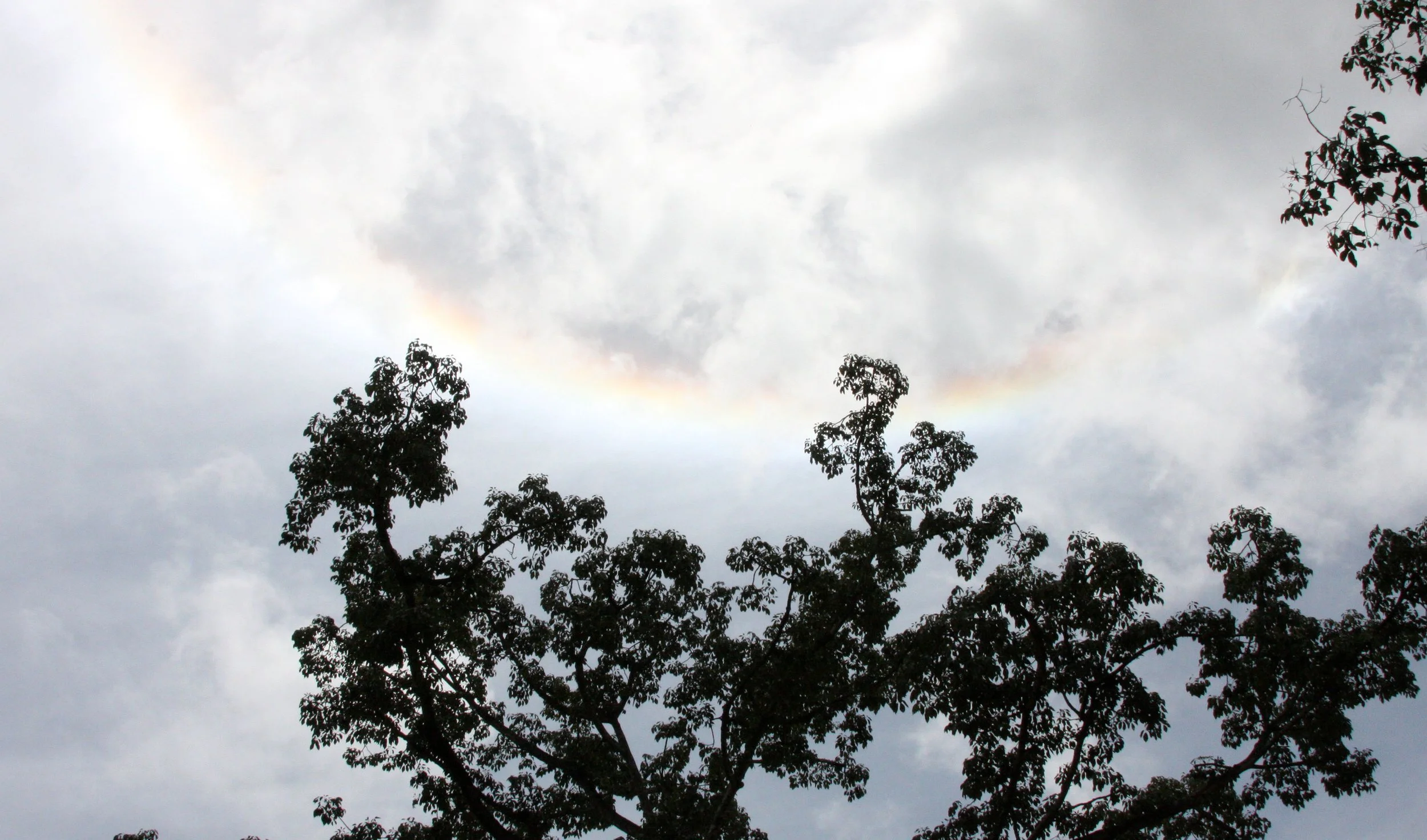 BAYON TEMPLE CAMBODIA - JULY 2010 (10).JPG