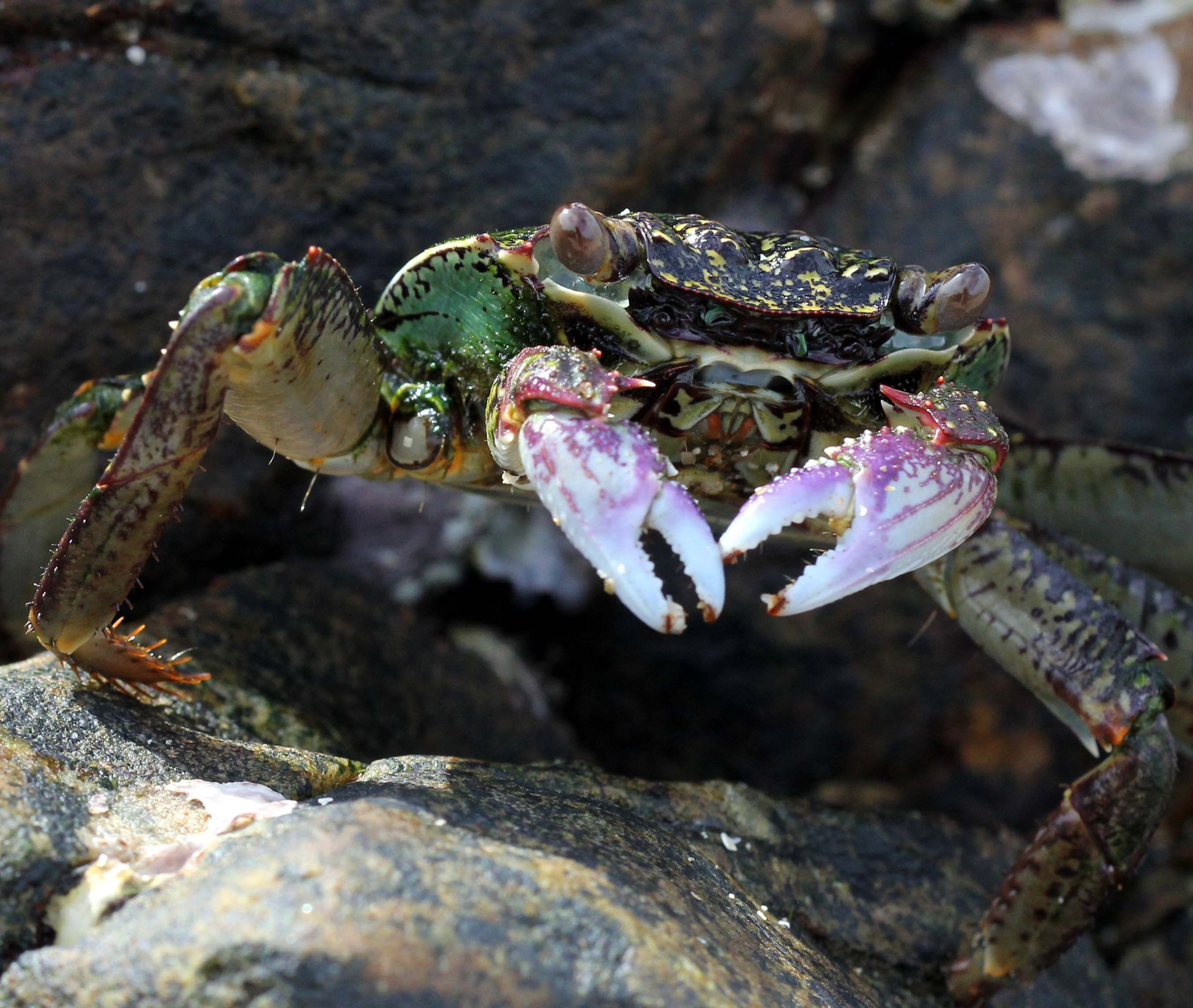 2013 KOH LANTA - OCTOBER BREAK 2013 (218).jpg