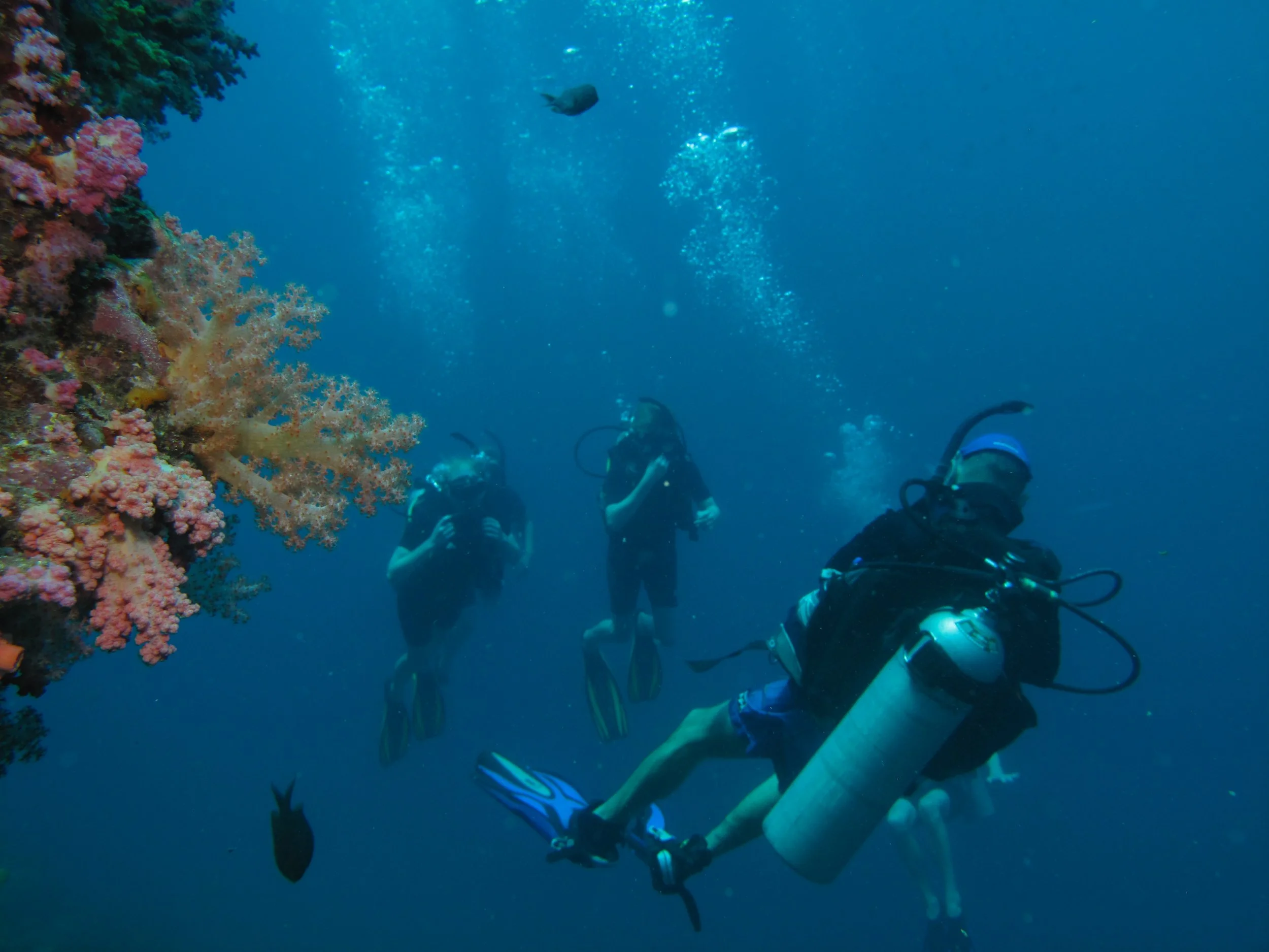 2013 Diving Koh Lanta (102).jpg