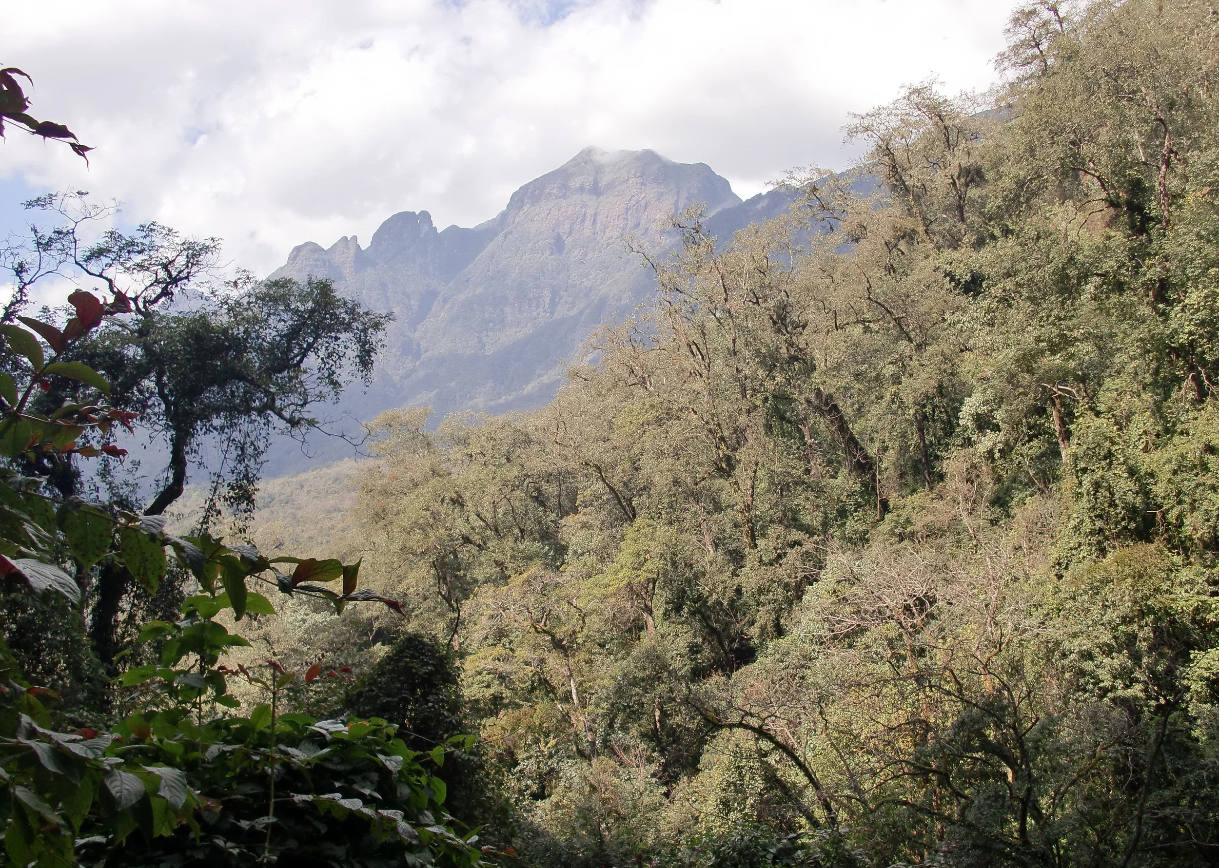 YUNNAN - WULIANGSHAN NATURE RESERVE AND SURROUNDING MOUNTAINS (9).JPG