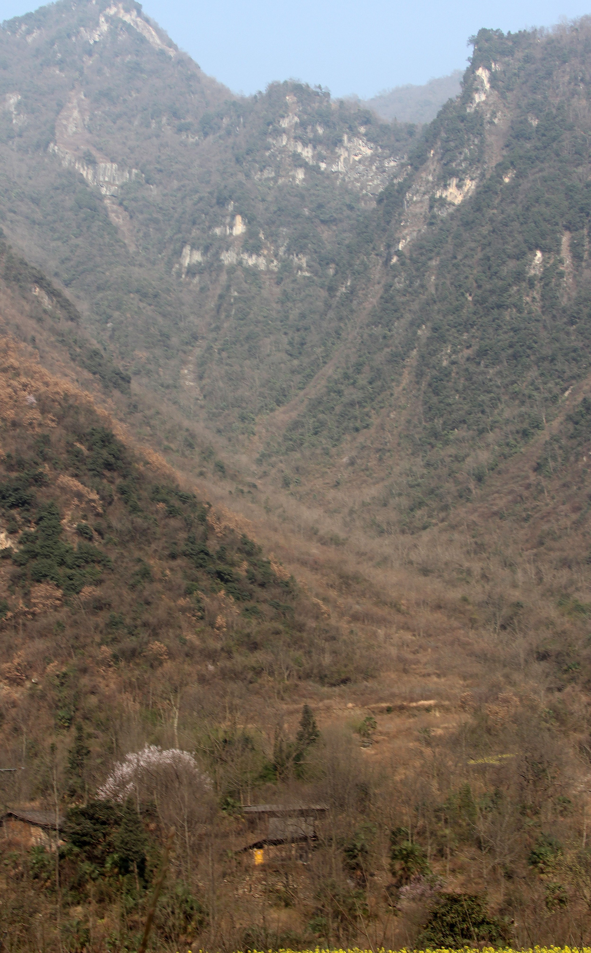 TANGJIAHE NATURE RESERVE, SICHUAN CHINA (36).JPG