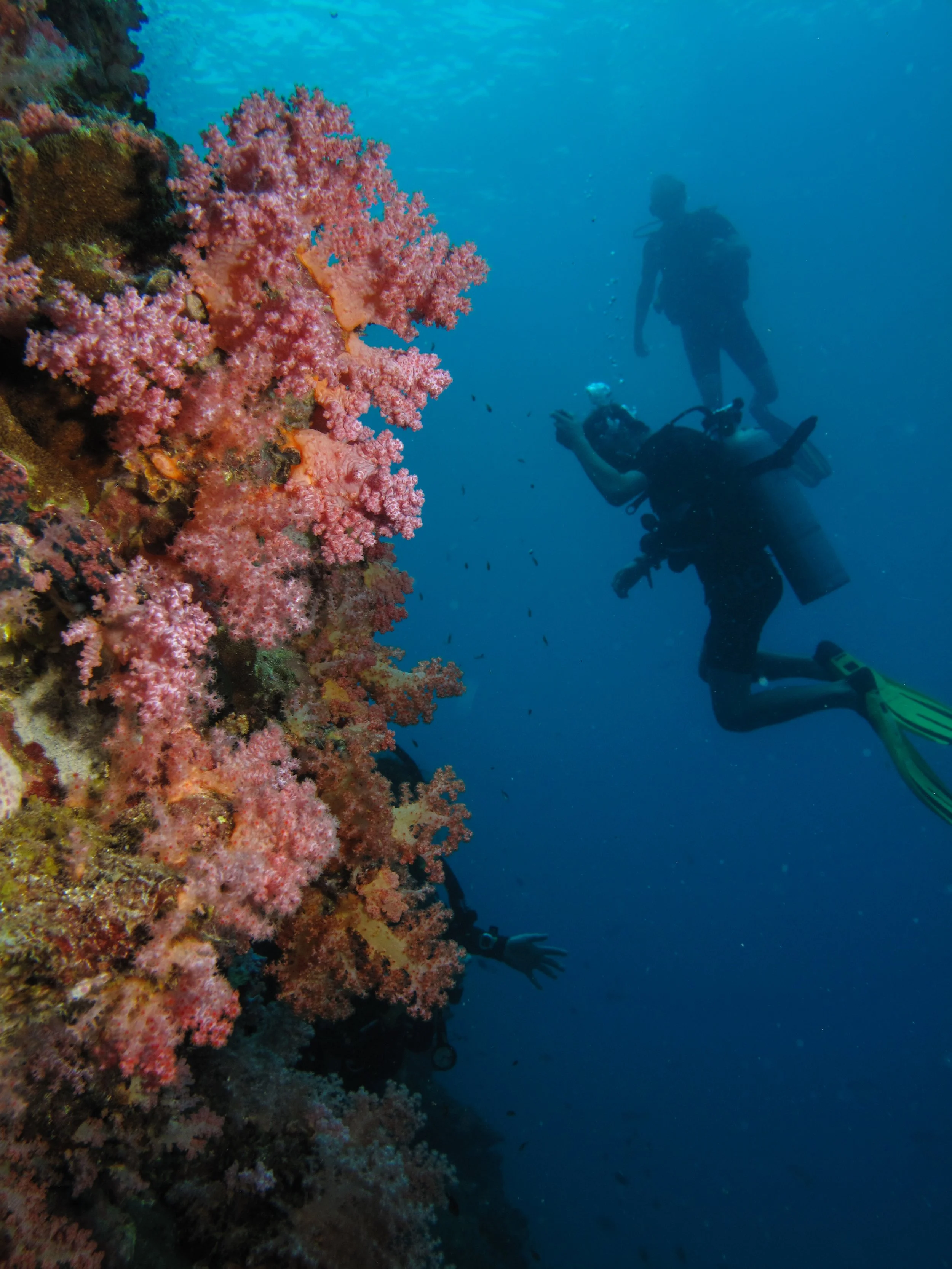 2013 Diving Koh Lanta (13).jpg