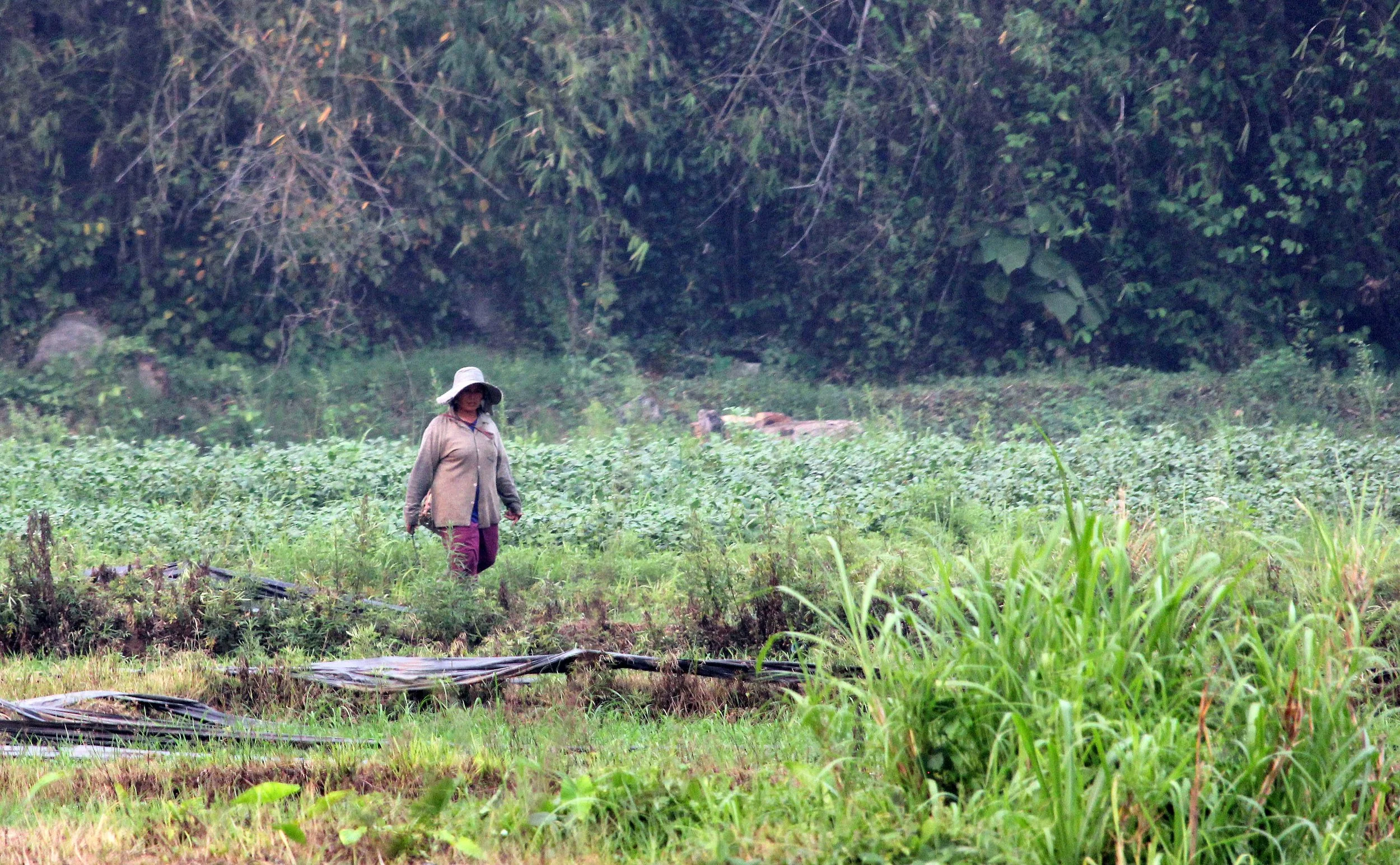 MAE KOK RIVER CHIANG RAI THAILAND (116).JPG