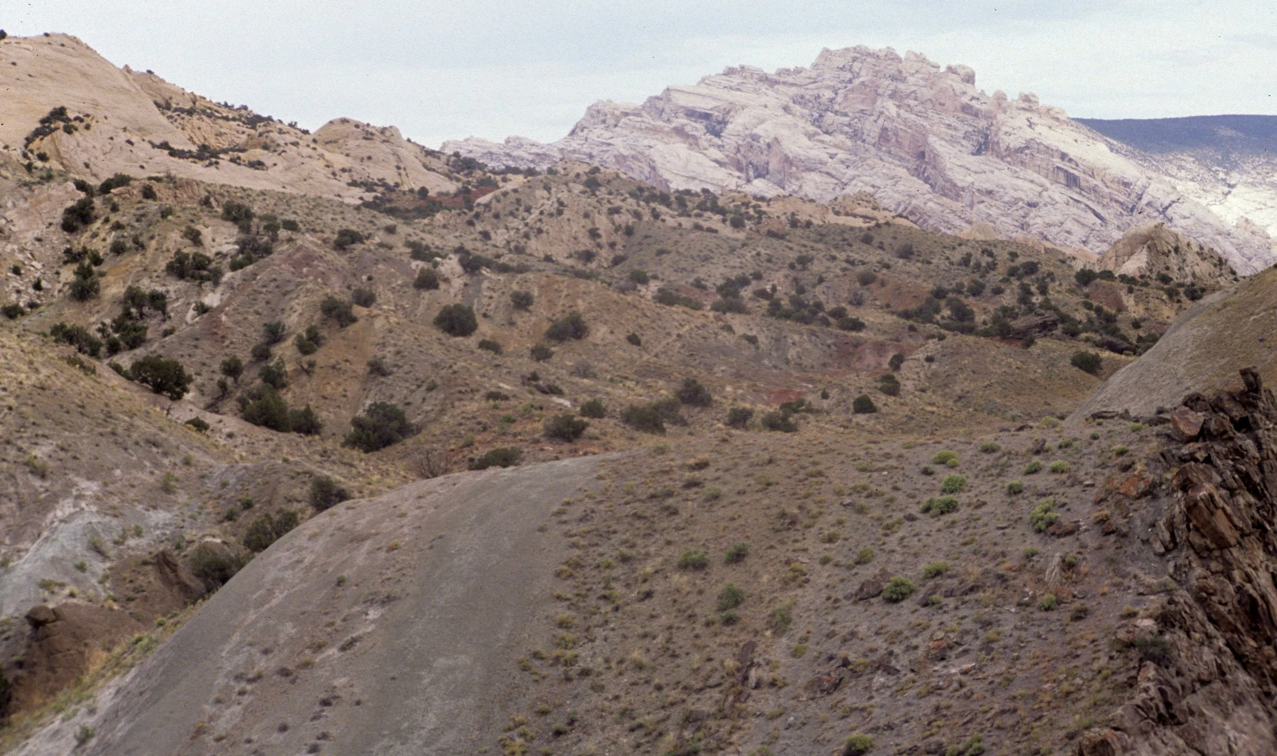 UTAH - DINOSAUR NM - UTAH (2).jpg